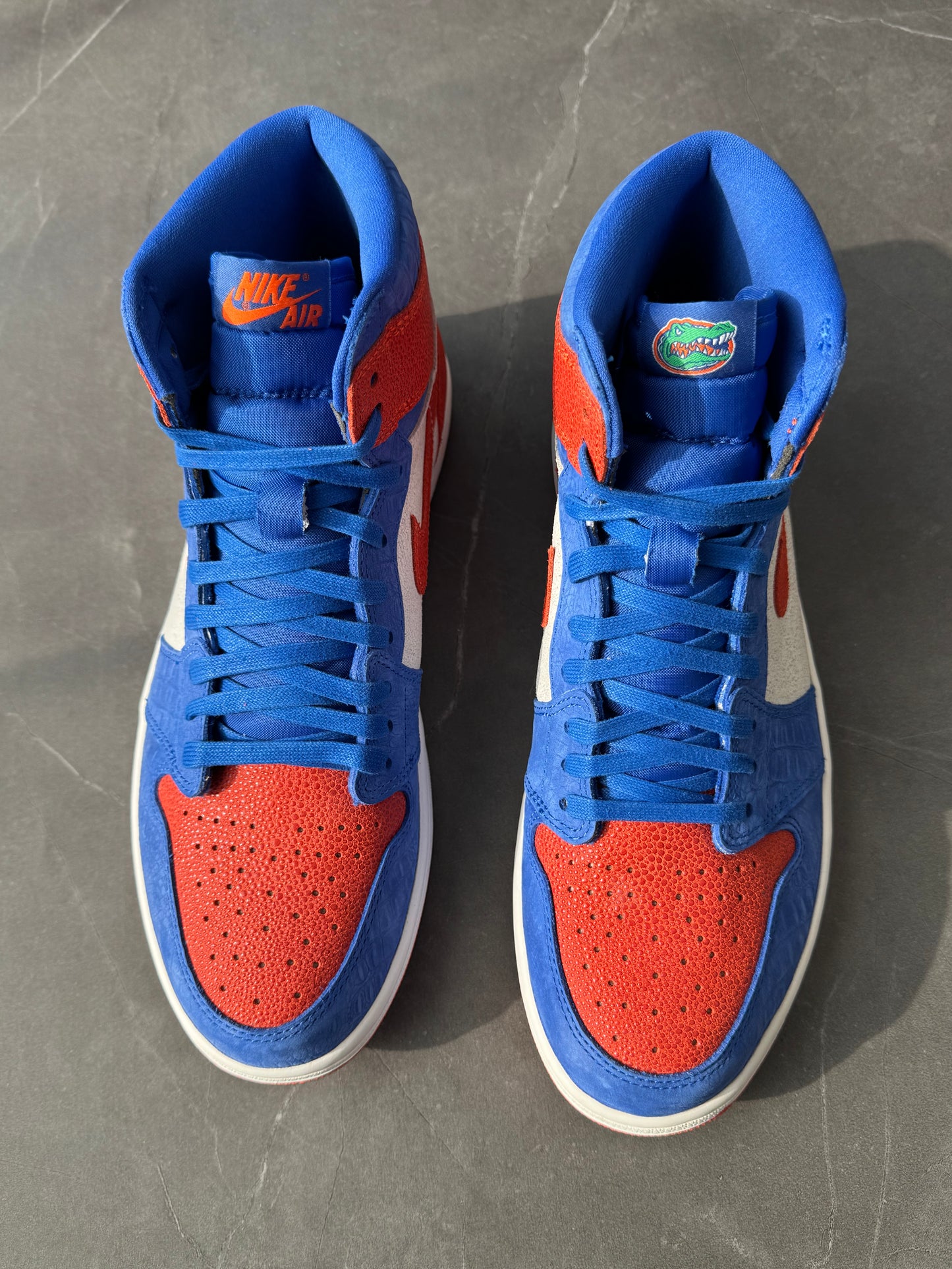 Air Jordan 1 High Florida Gators PE 🐊