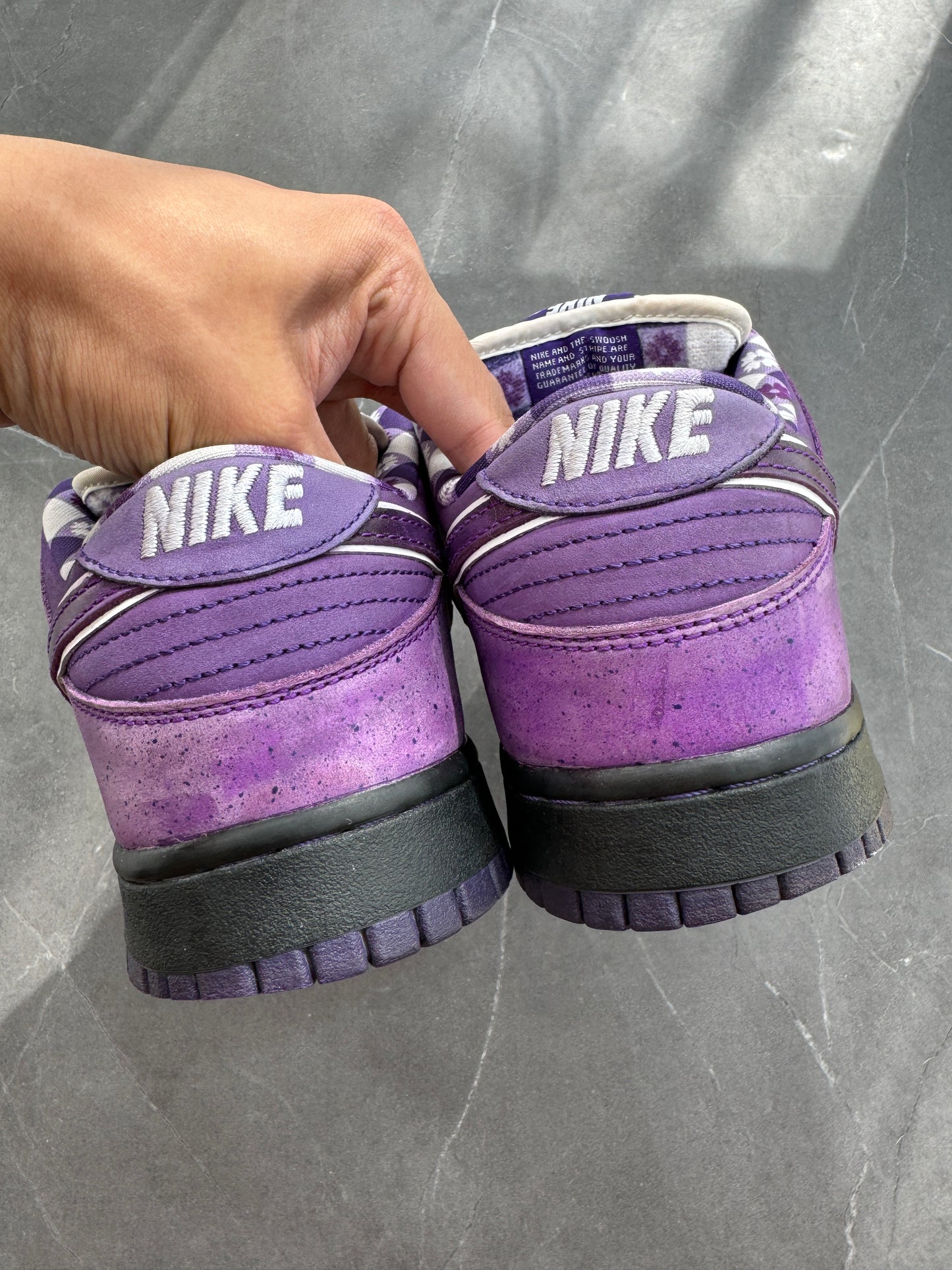 Dunk Low Pro SB Purple Lobster US9