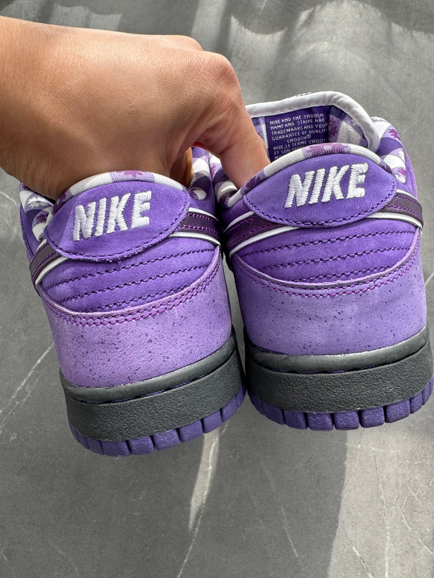 Dunk Low Pro SB Purple Lobster