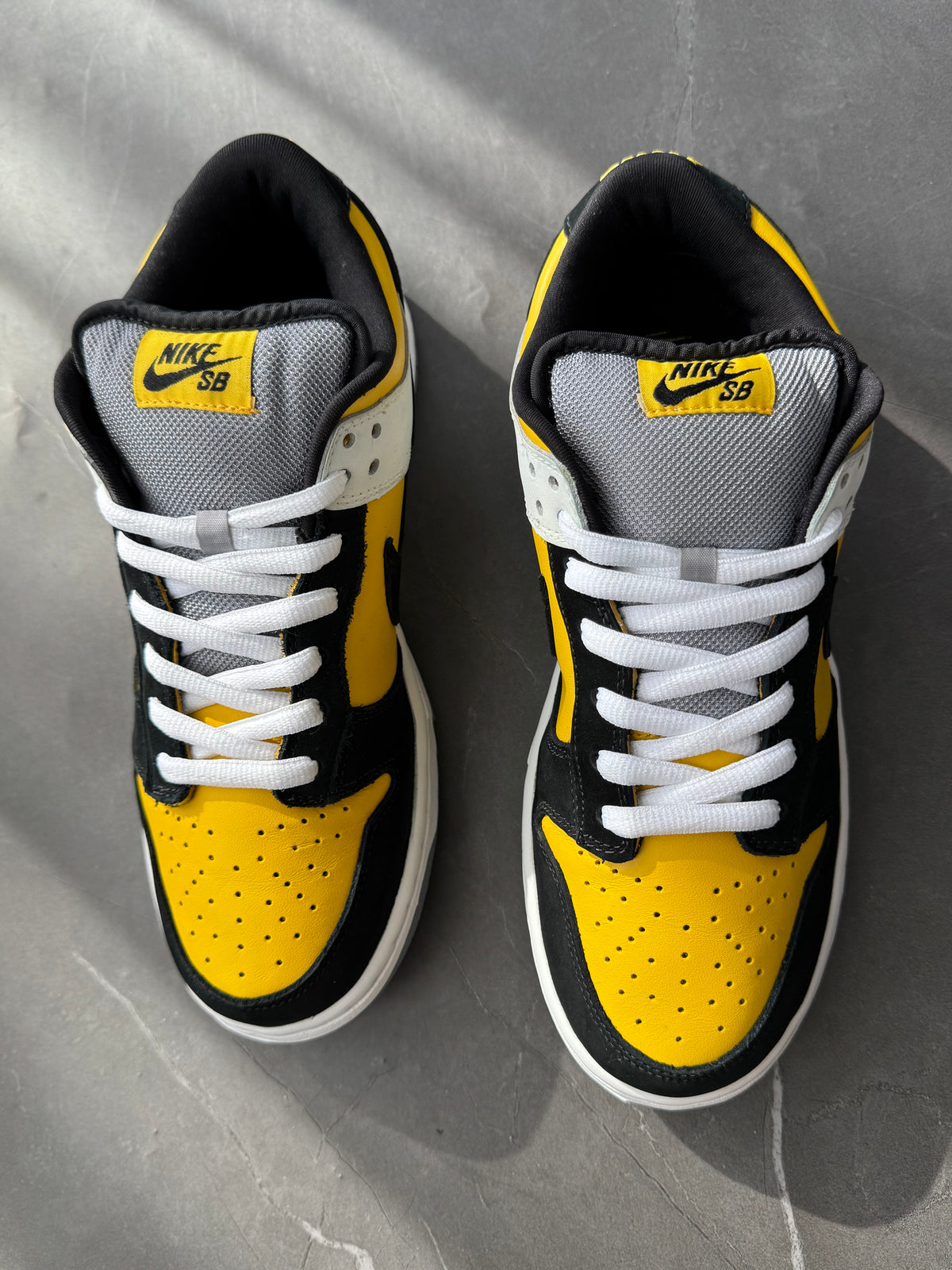 Dunk Low Pro SB Bic 2006 US9