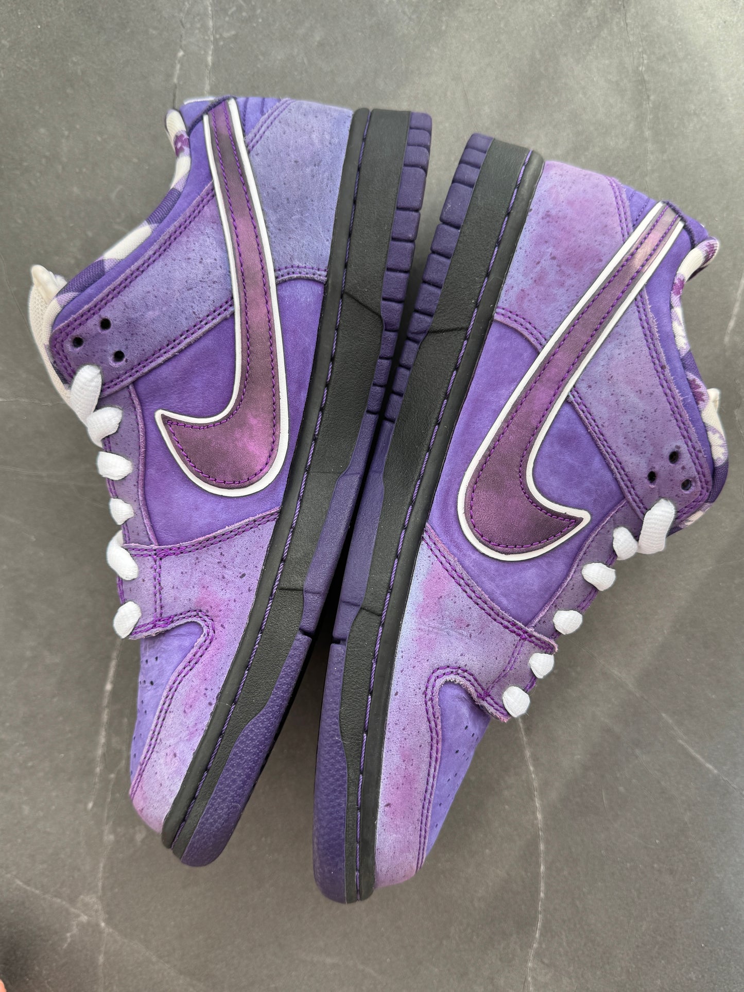 Dunk Low Pro SB Purple Lobster US8