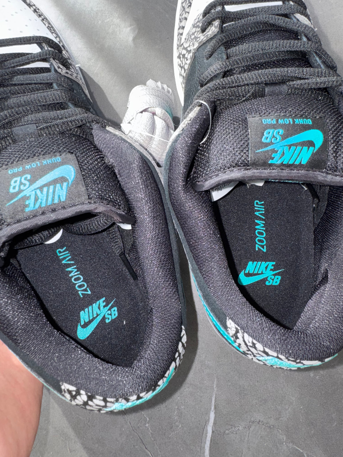 Dunk Low Pro SB Atmos Elephant