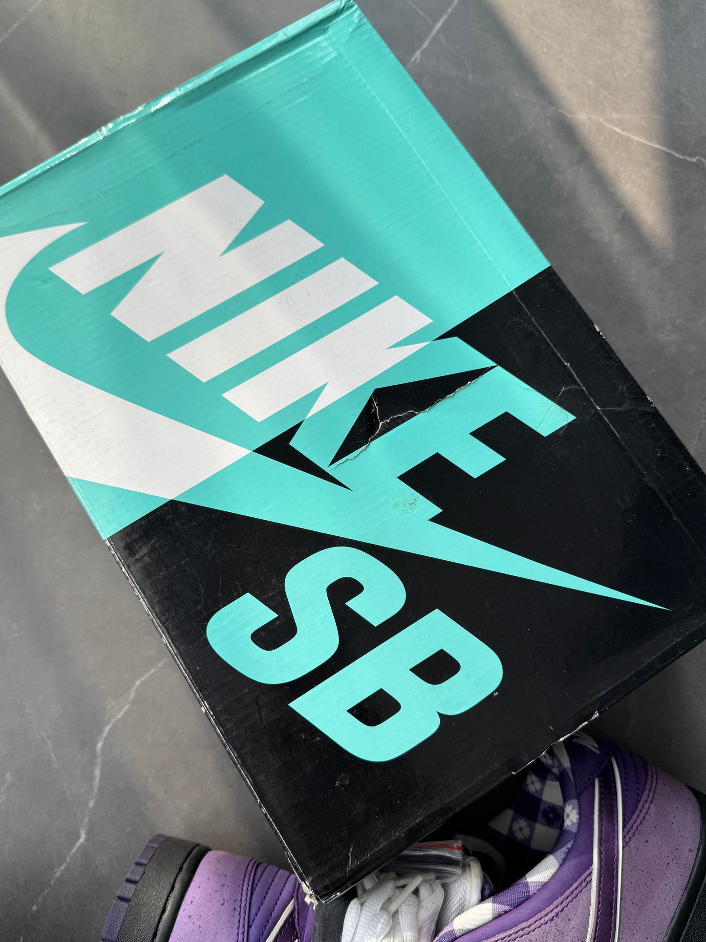 Dunk Low Pro SB Purple Lobster US9.5 Lot2