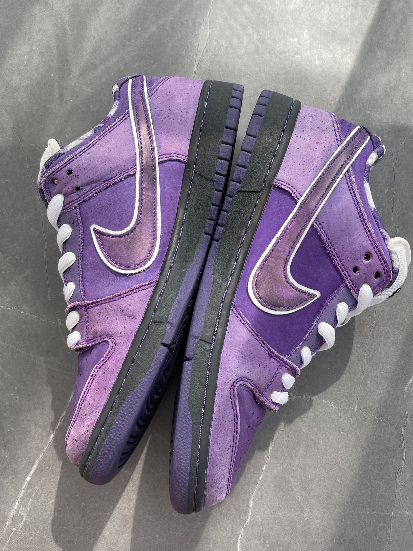 Dunk Low Pro SB Purple Lobster US10