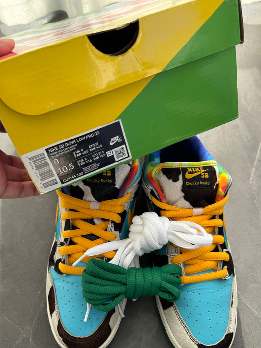 Dunk Low Pro SB Chunky Dunky US9