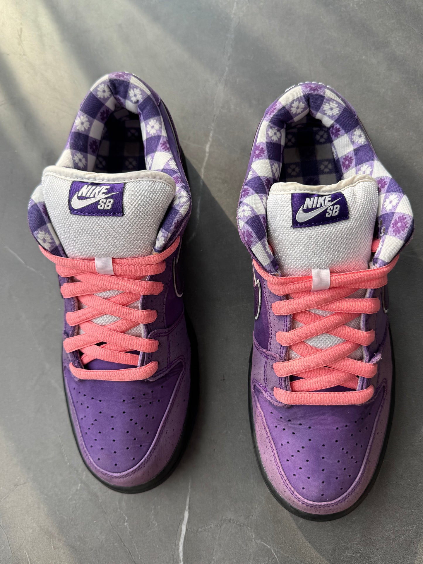 Dunk Low Pro SB Purple Lobster US9.5 Lot2