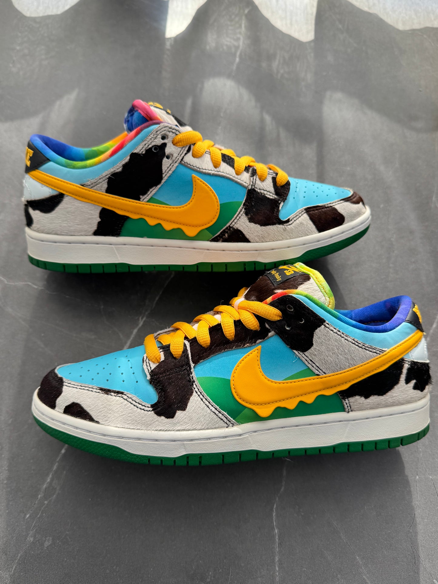 Dunk Low Pro SB Chunky Dunky US9