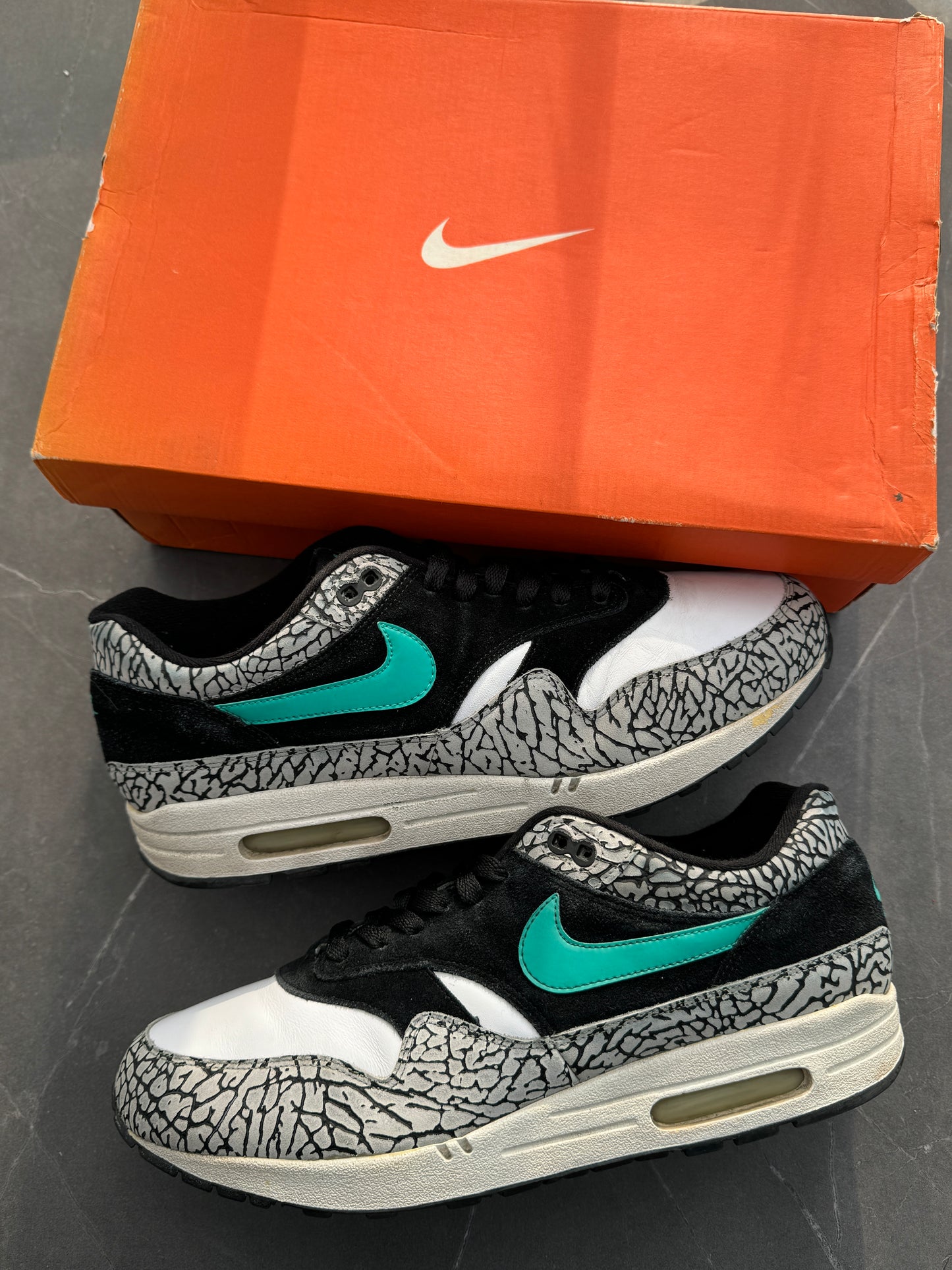 Air Max 1 Atmos Elephant OG 2007