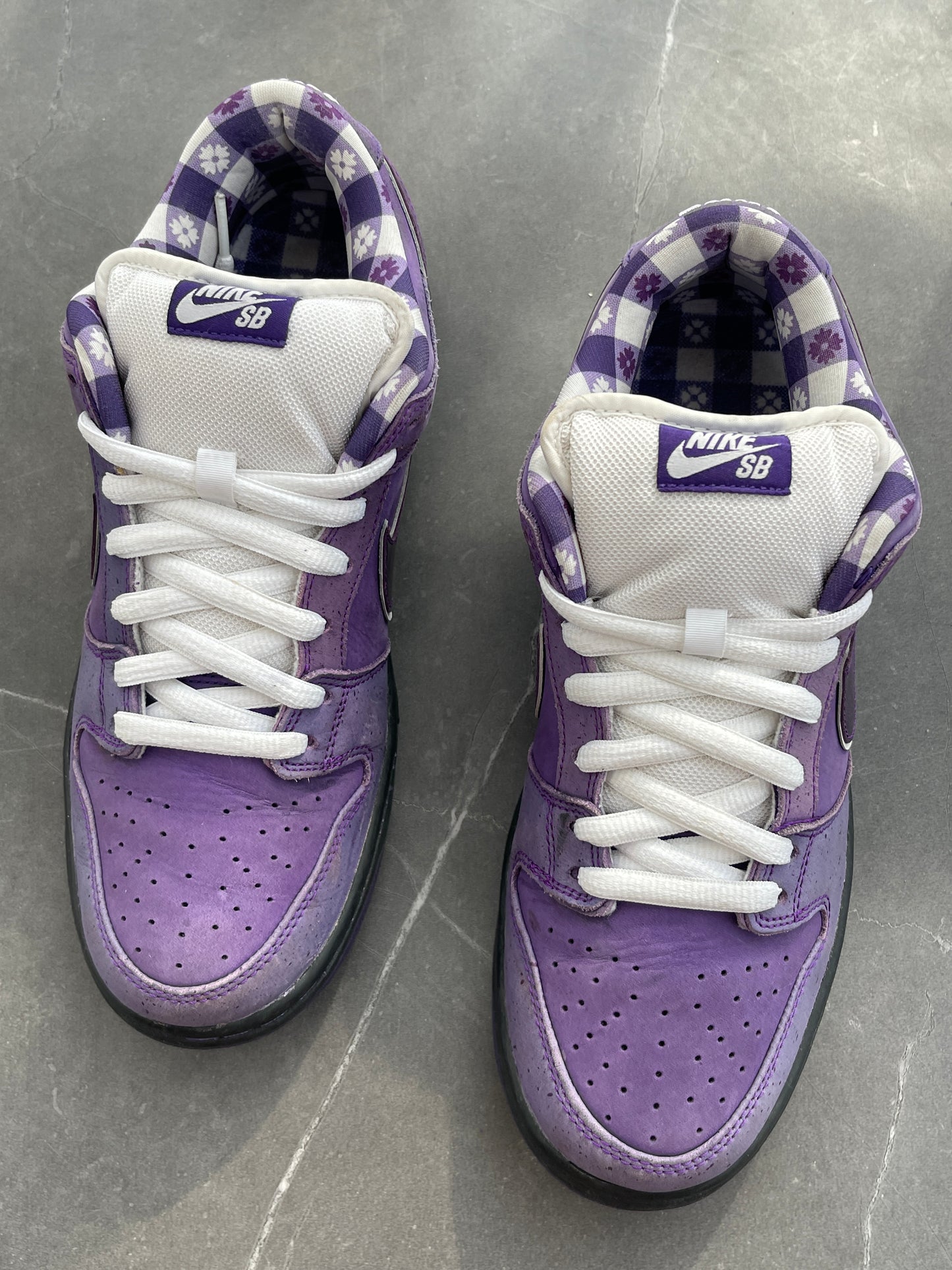 Dunk Low Pro SB Purple Lobster US10