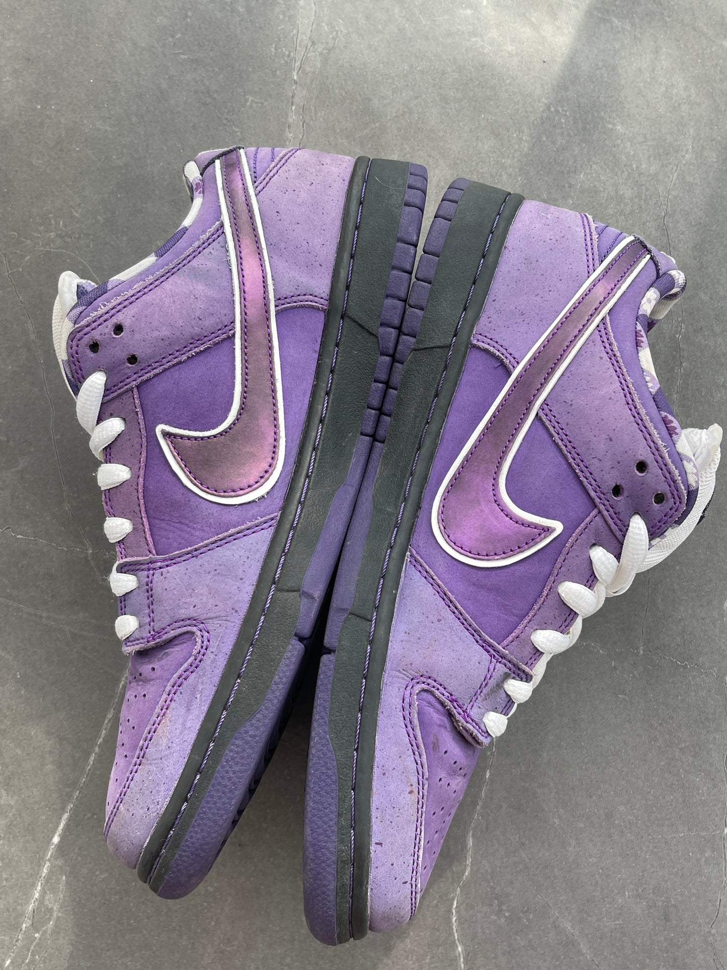 Dunk Low Pro SB Purple Lobster US10