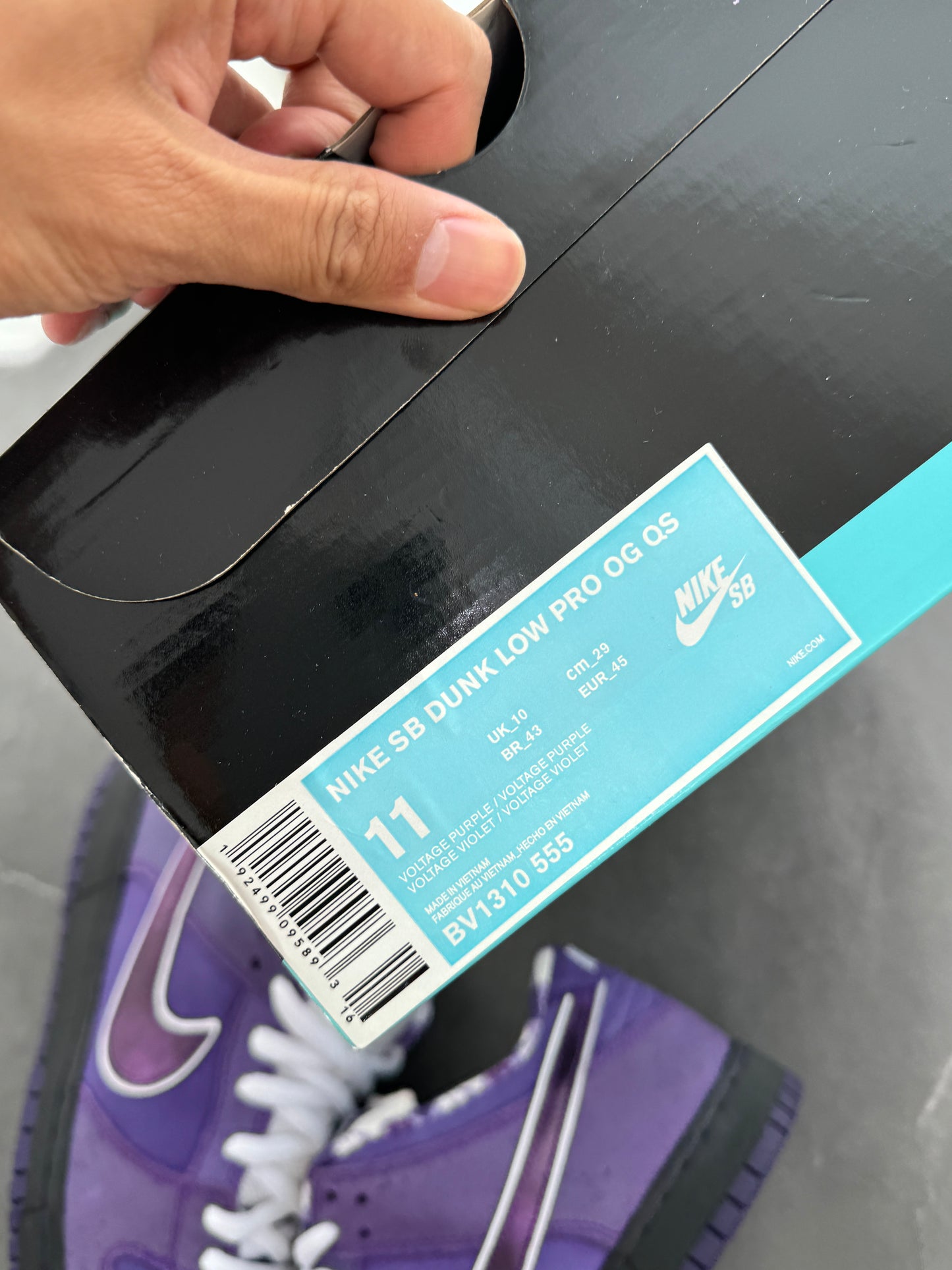 Dunk Low Pro SB Purple Lobster US11