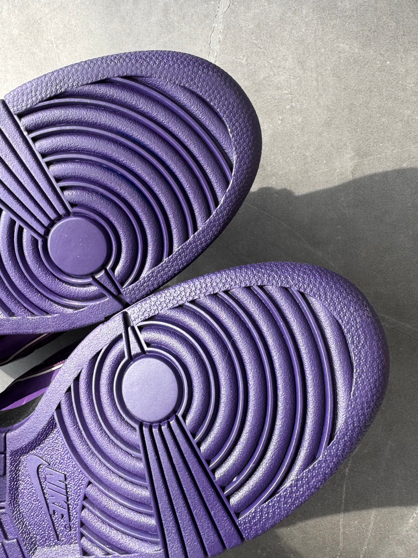 Dunk Low Pro SB Purple Lobster Special Box US11