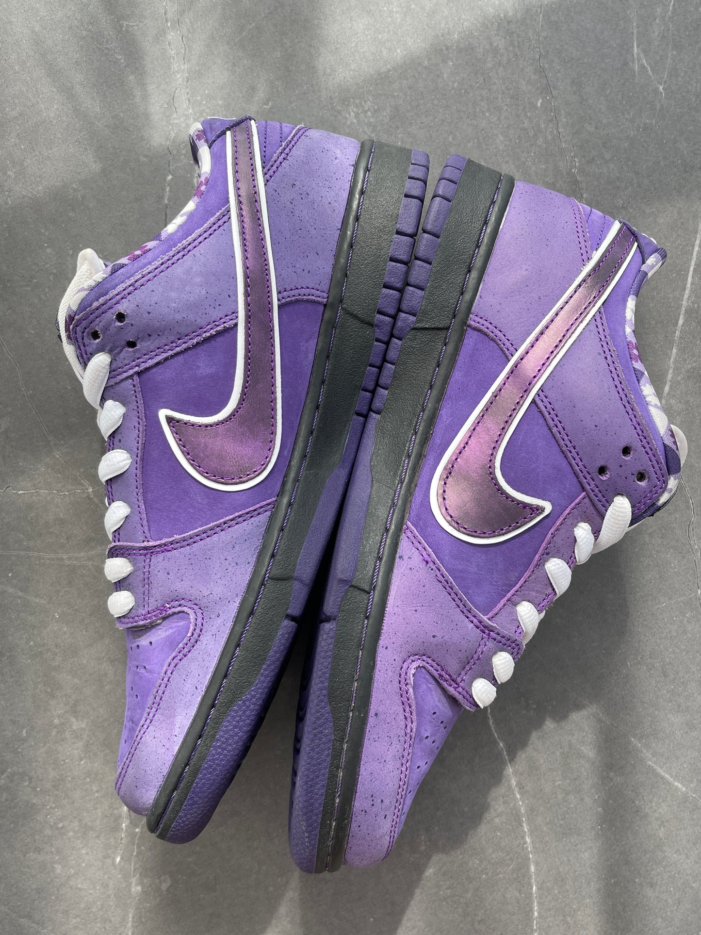 Dunk Low Pro SB Purple Lobster US10