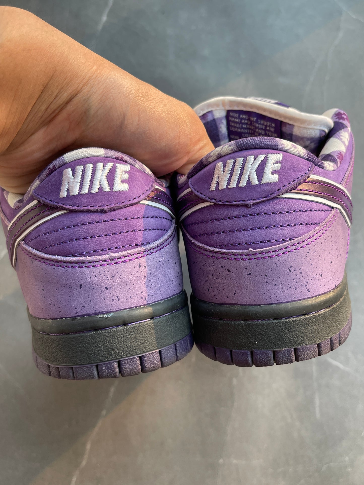 Dunk Low Pro SB Purple Lobster US5.5