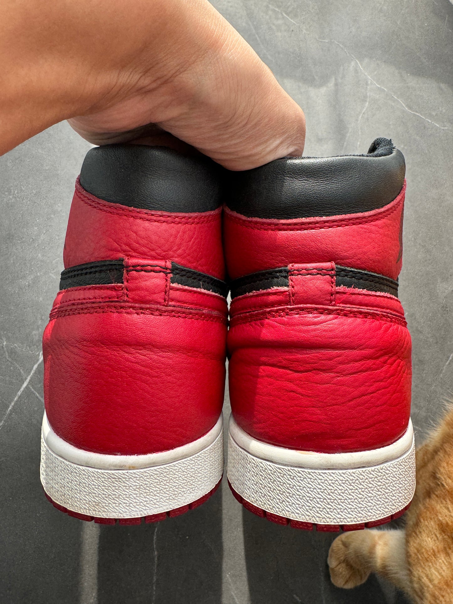 Air Jordan 1 High Bred Banned 2016 US9