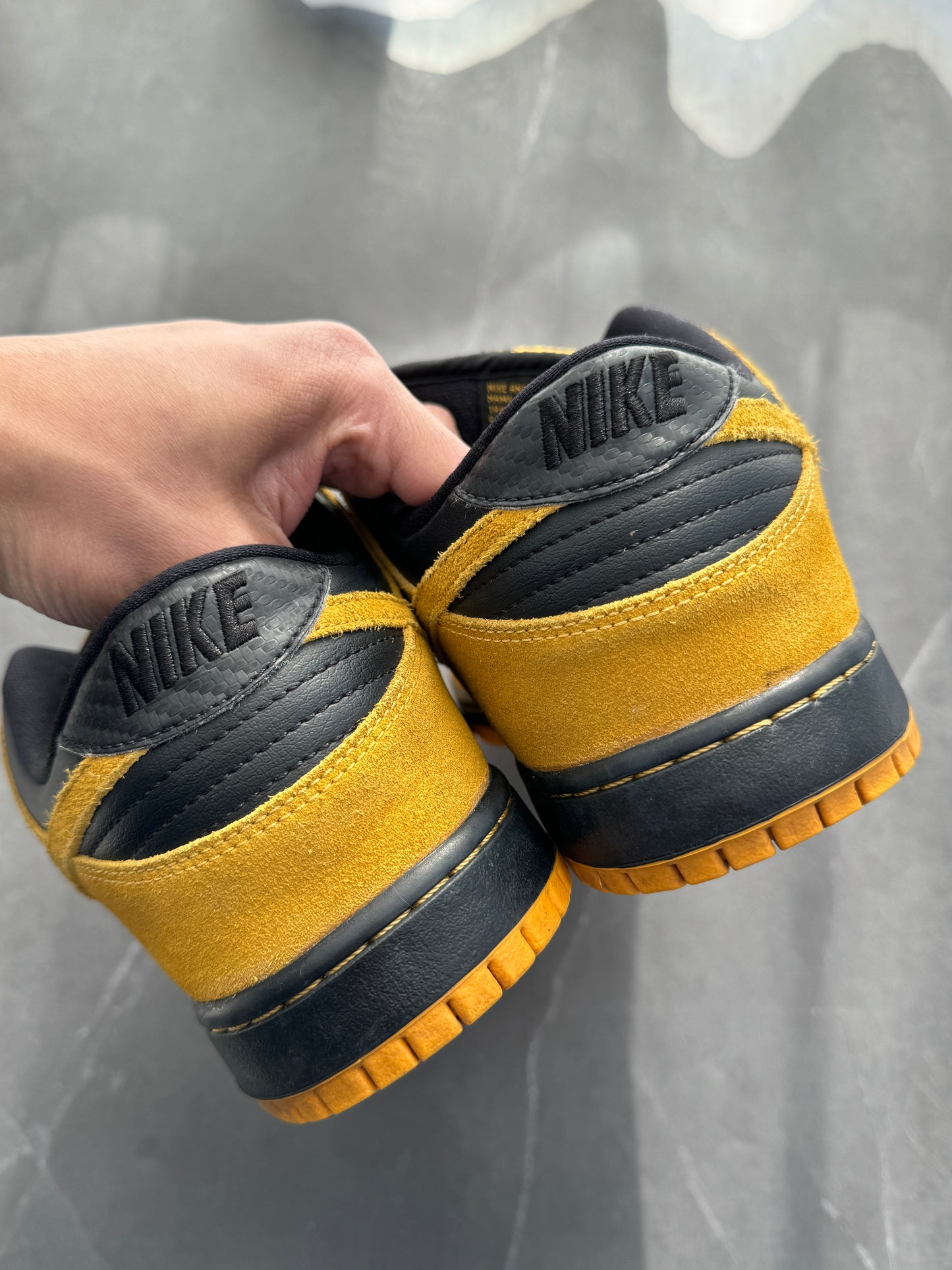 Dunk Low Pro SB Iowa 2015