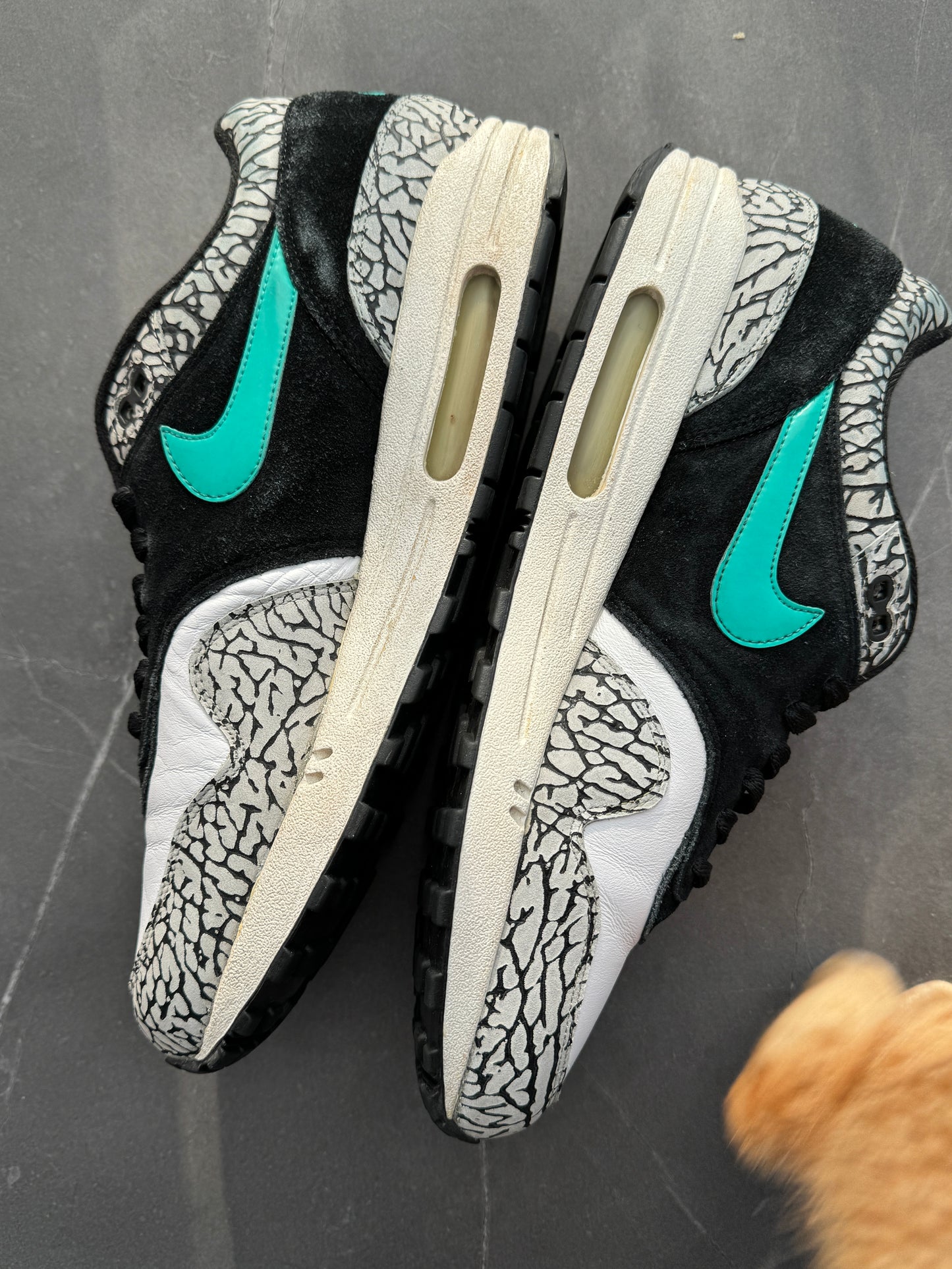 Air Max 1 Atmos Elephant OG 2007