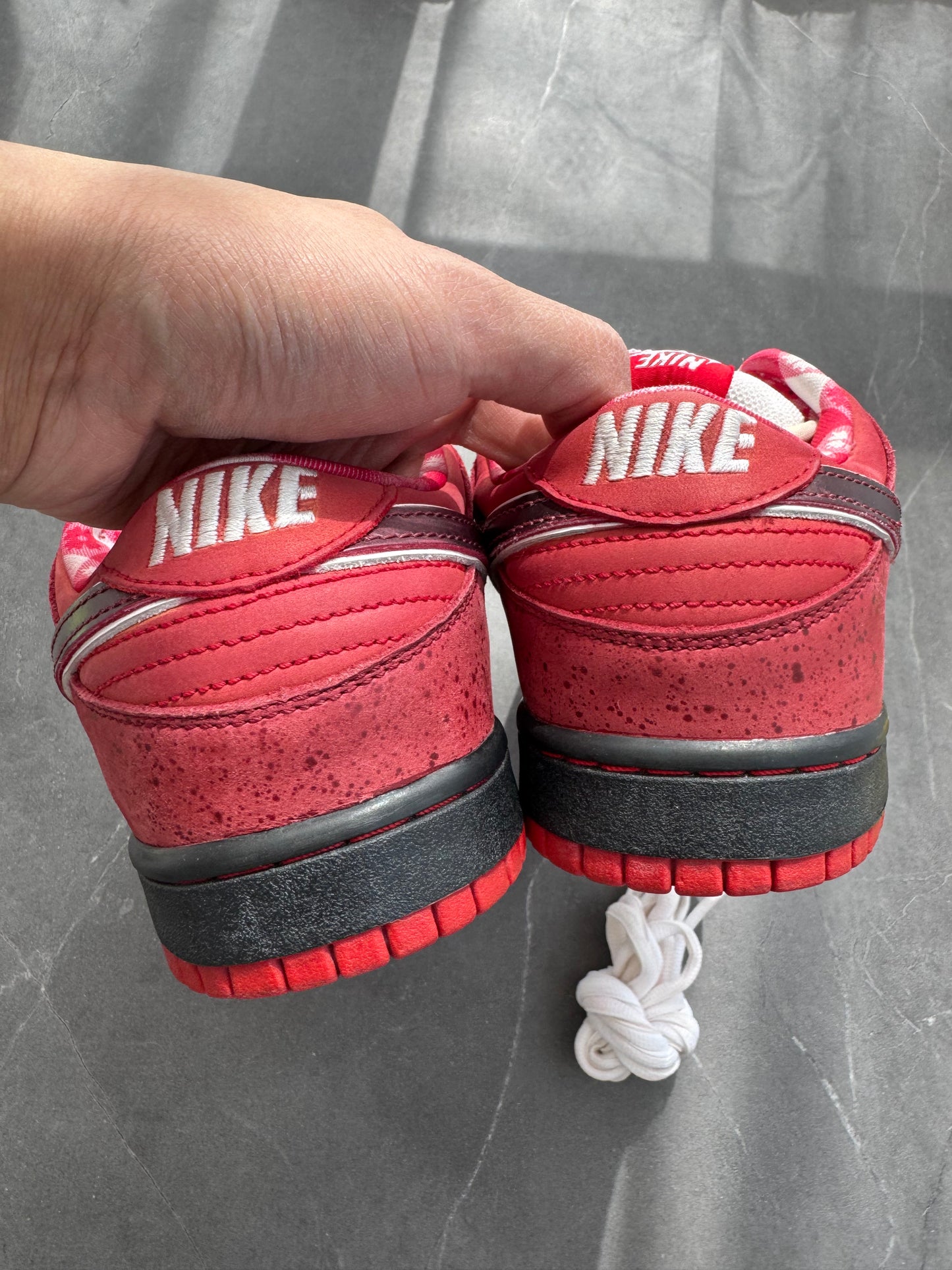Dunk Low Premium SB Red Lobster 2008