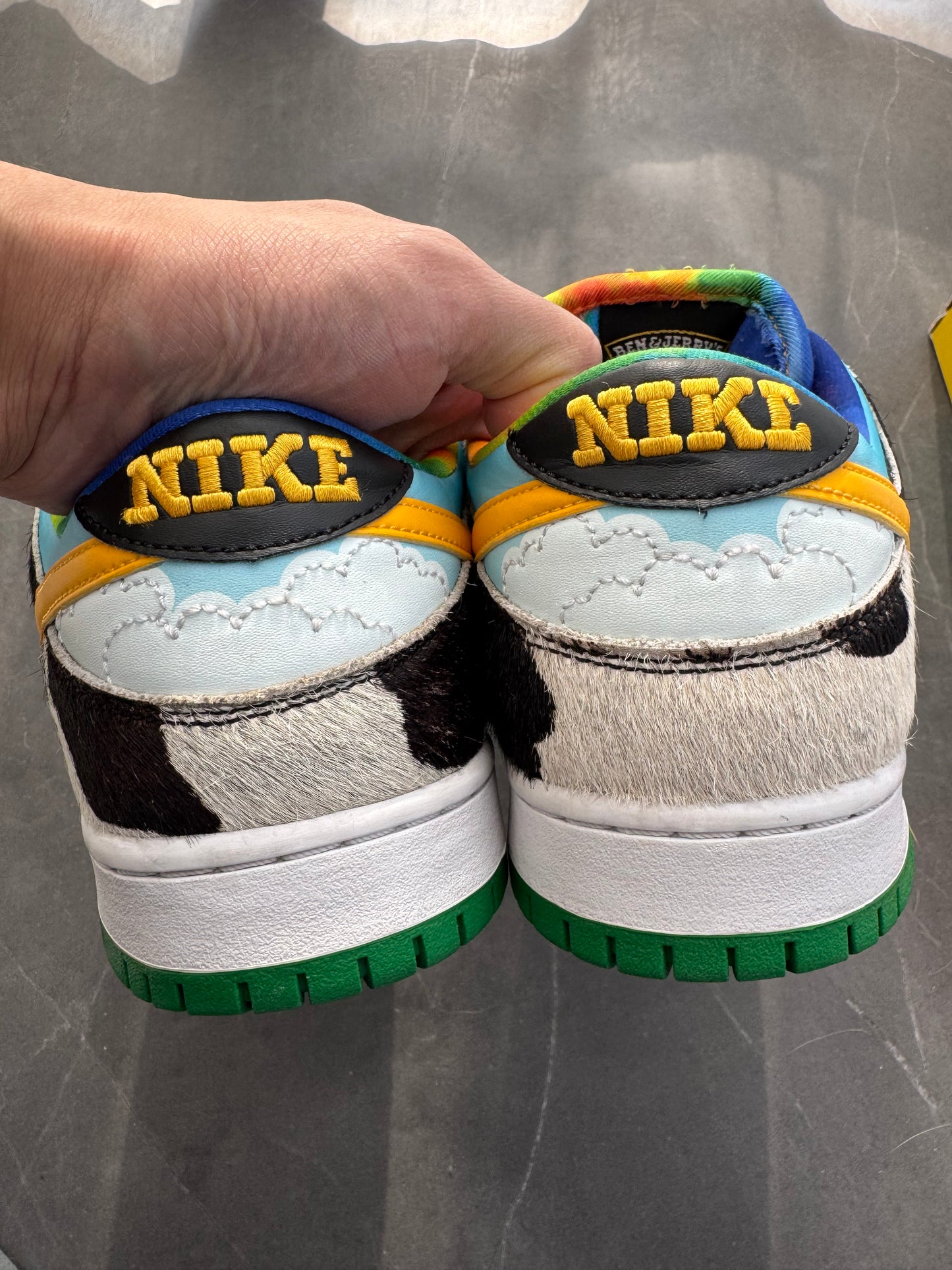 Dunk Low Pro SB Chunky Dunky US10