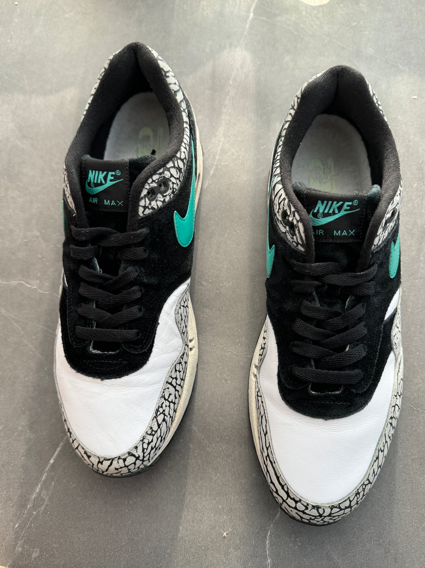 Air Max 1 Atmos Elephant OG 2007