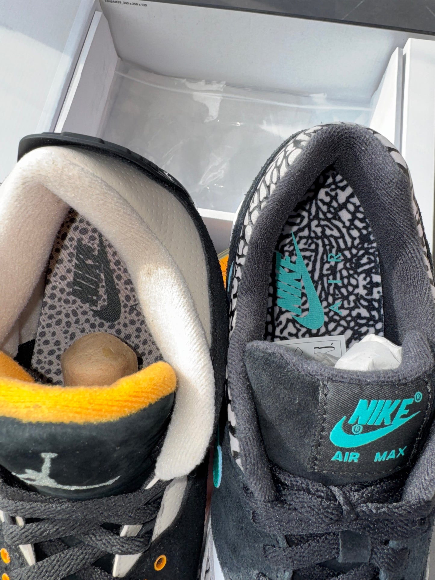 Air Jordan 3 & Air Max 1 Atmos Pack