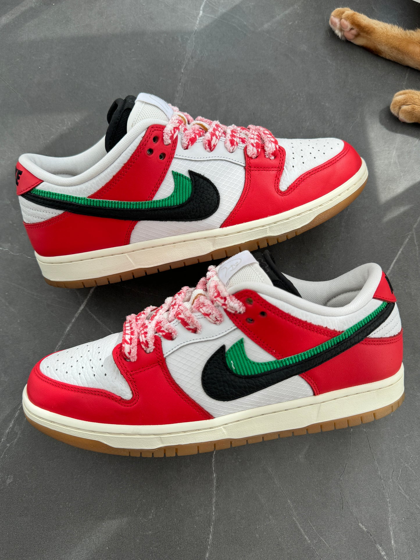 Dunk Low Pro SB Frame Skate Habibi US9.5