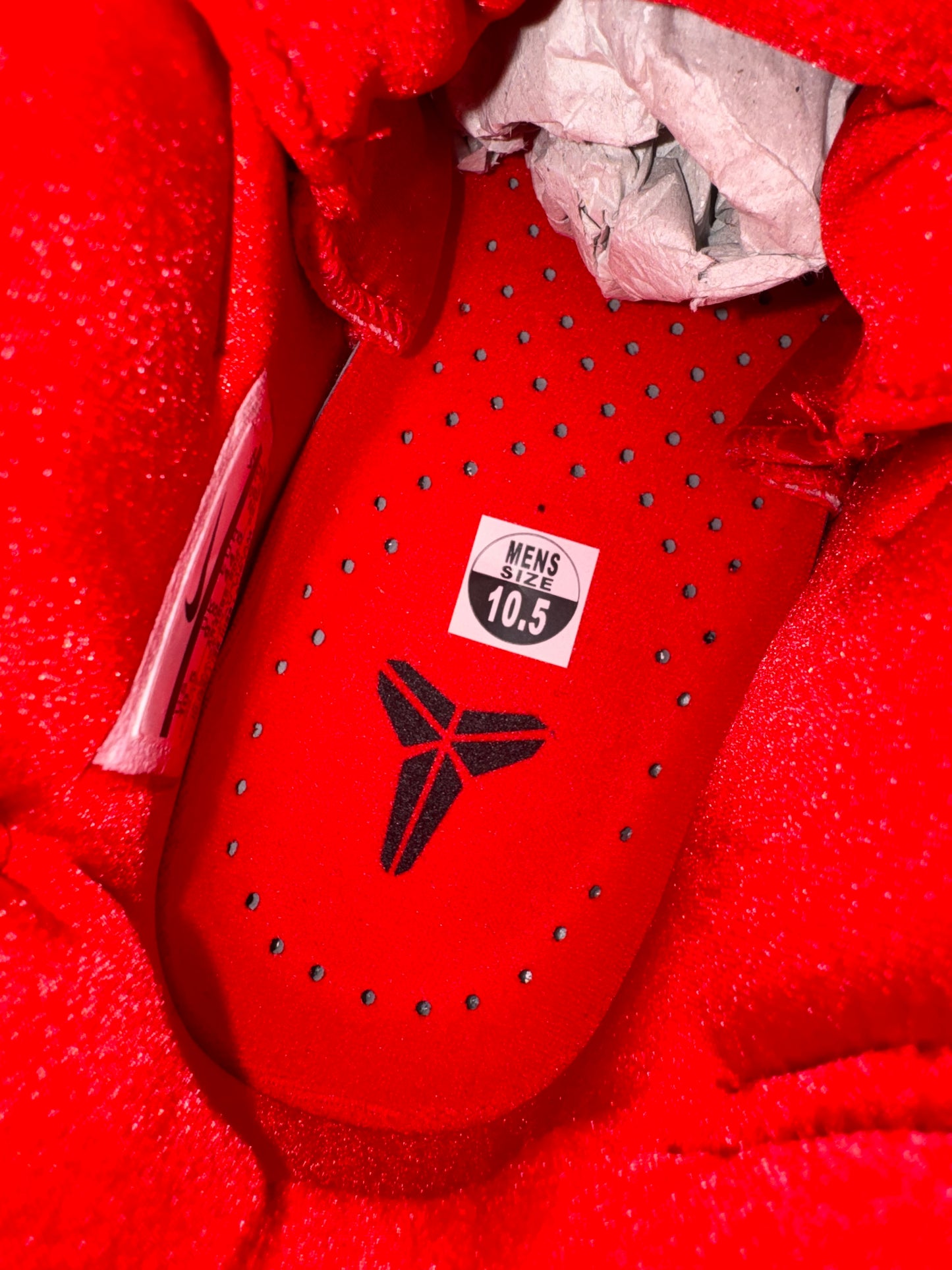 Nike Kobe 1 Protro DeMar DeRozan PE