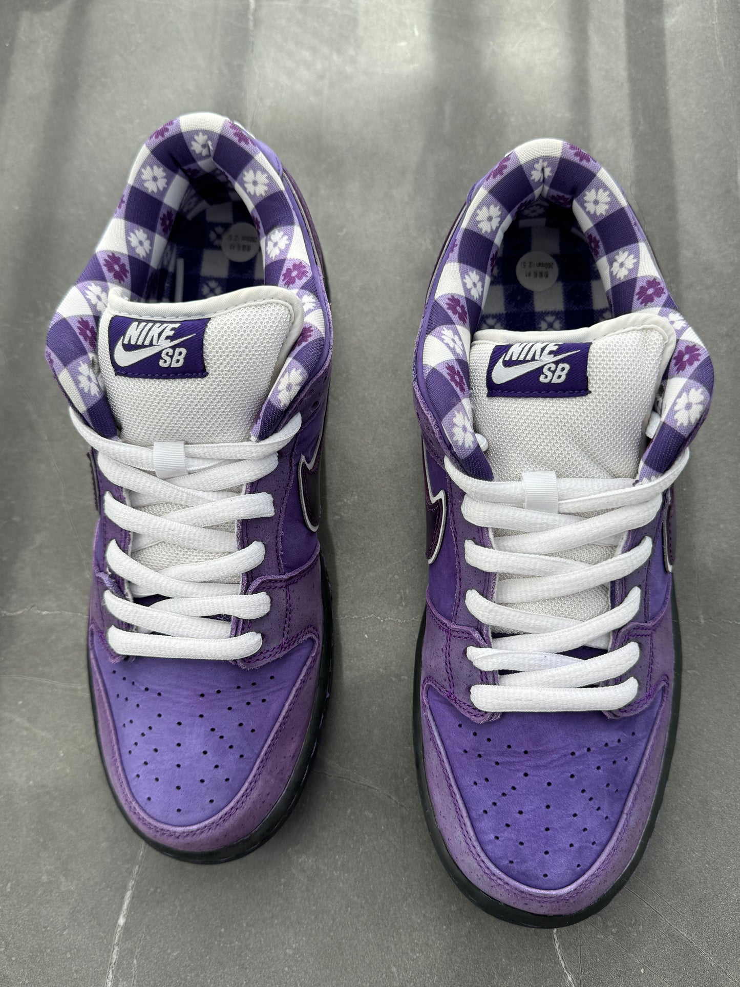 Dunk Low Pro SB Purple Lobster US8