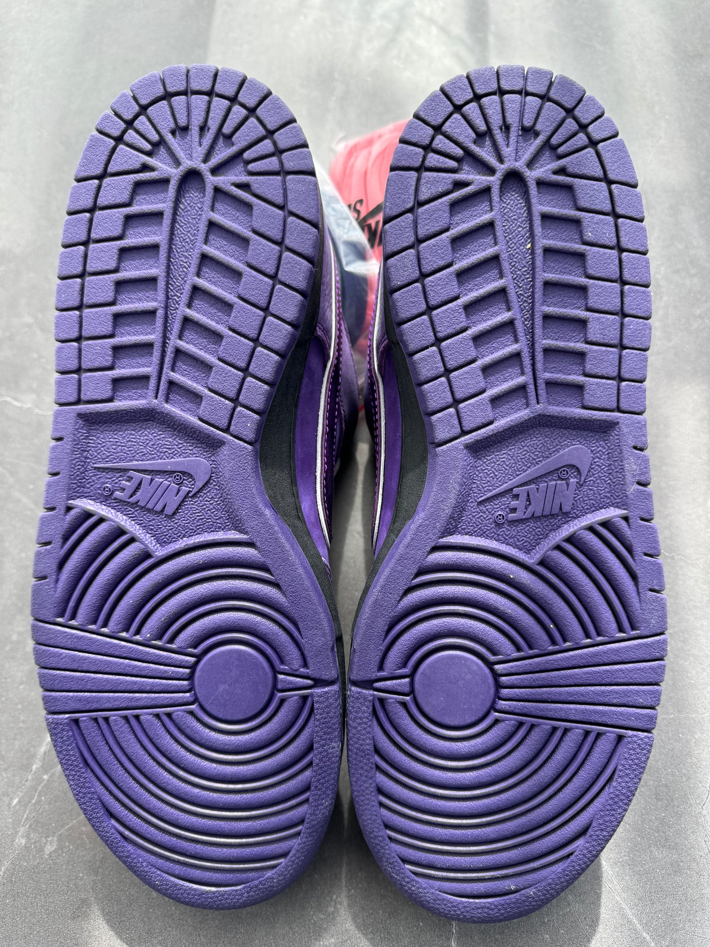 Dunk Low Pro SB Purple Lobster US10