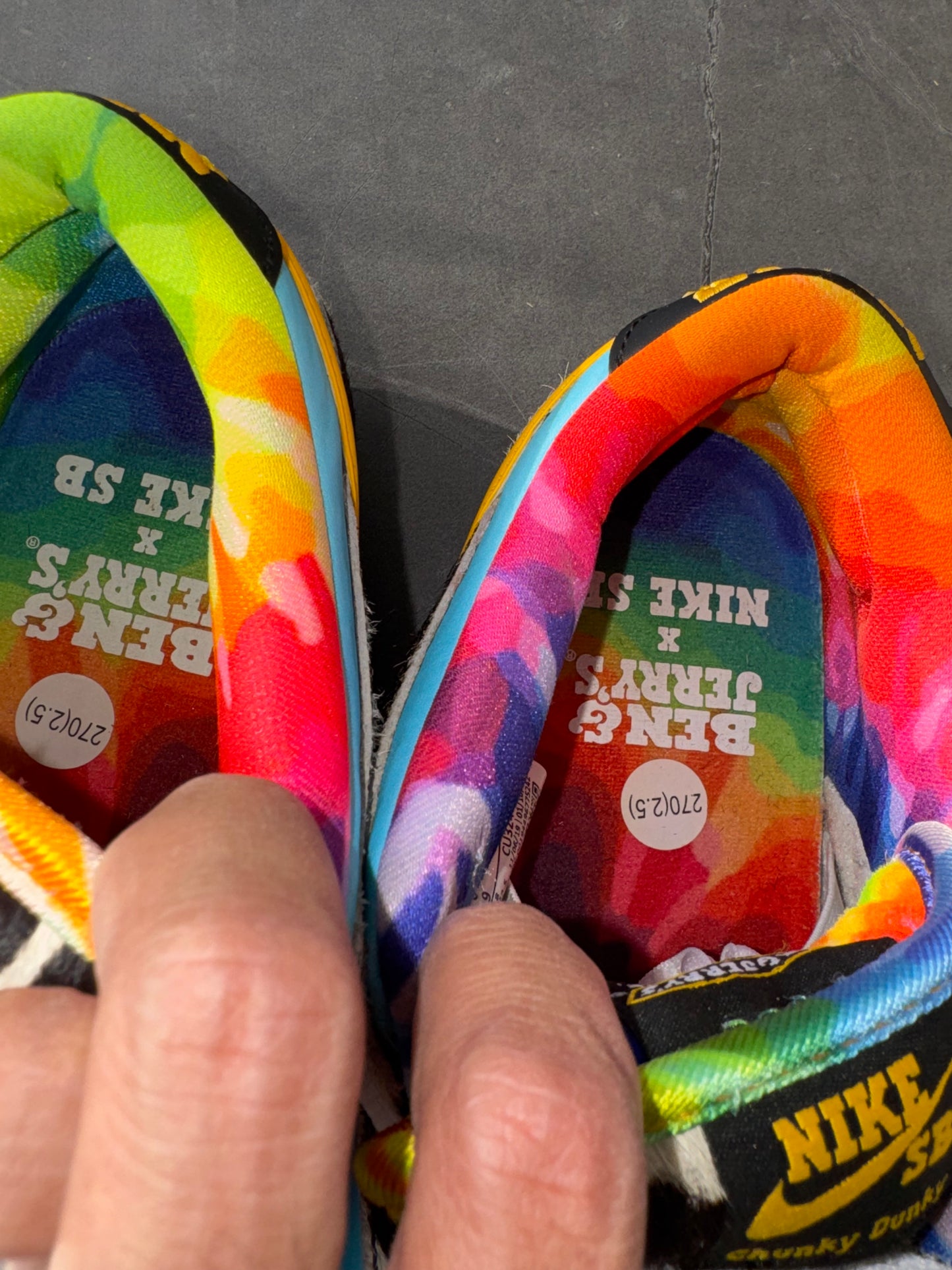 Dunk Low Pro SB Chunky Dunky US9