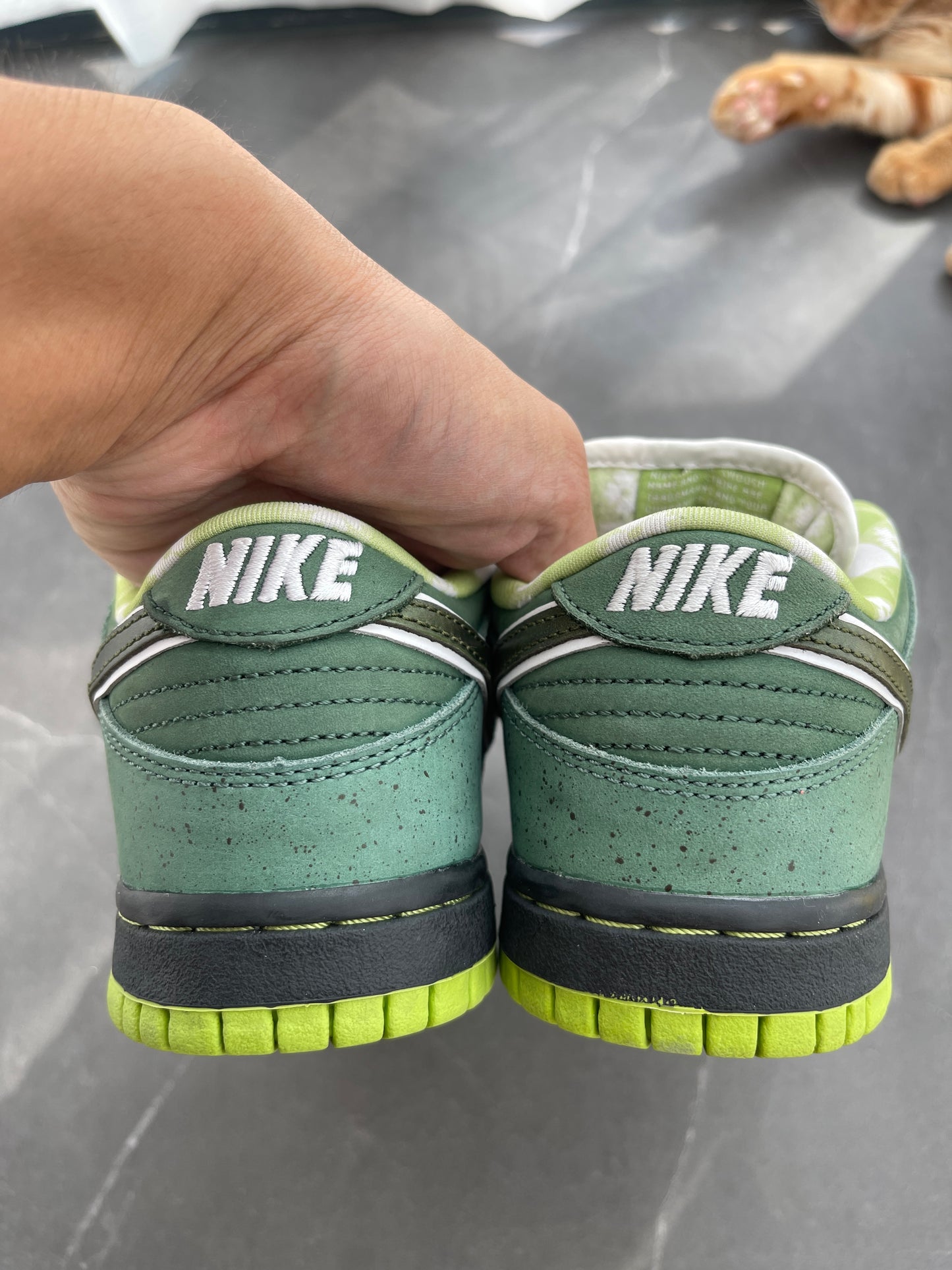 Dunk Low Pro SB Green Lobster US4