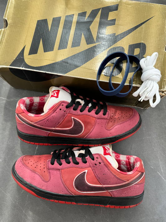 Dunk Low Premium SB Red Lobster🦞2008 US11