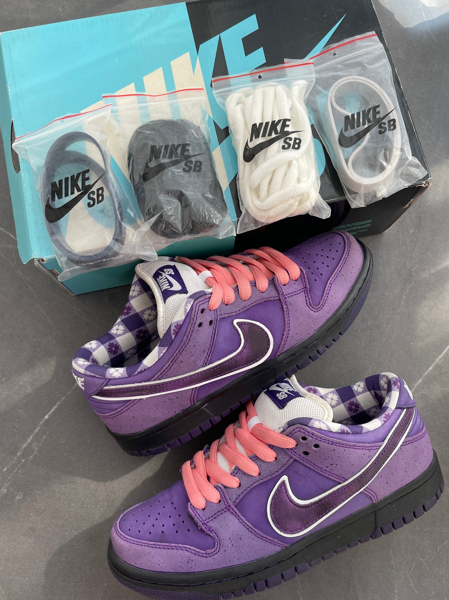 Dunk Low Pro SB Purple Lobster US5