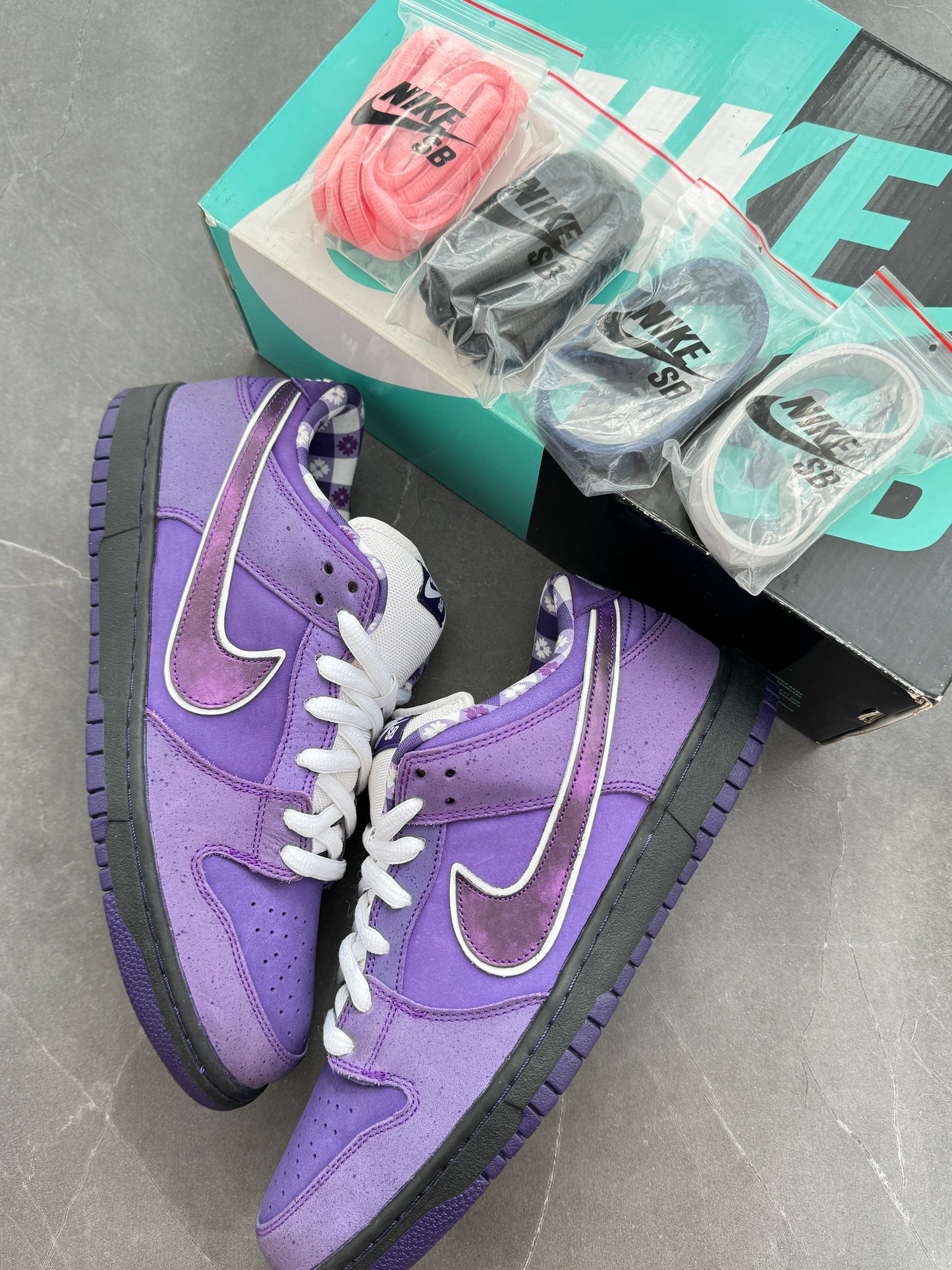 Dunk Low Pro SB Purple Lobster US11