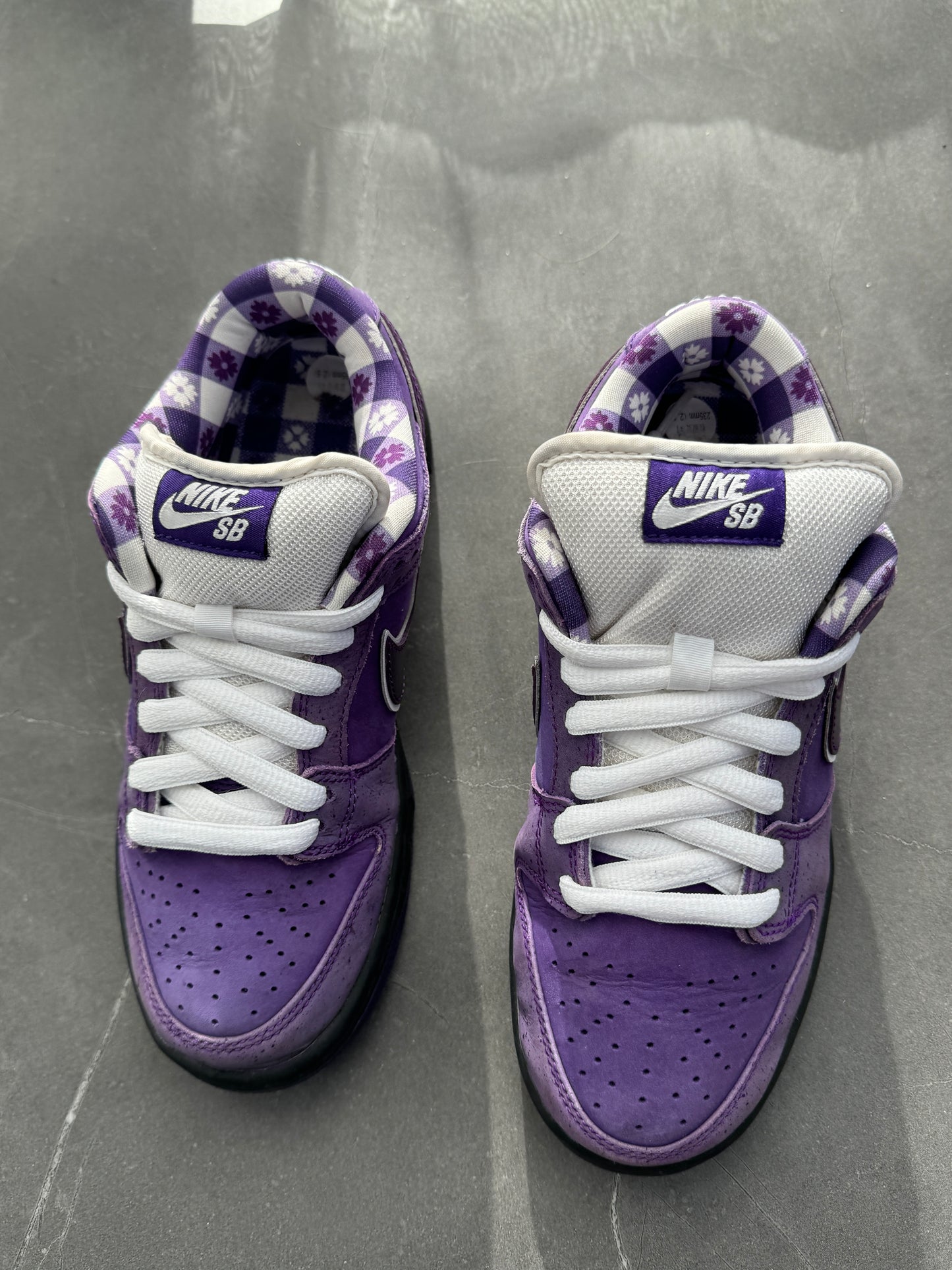 Dunk Low Pro SB Purple Lobster 🦞US4.5