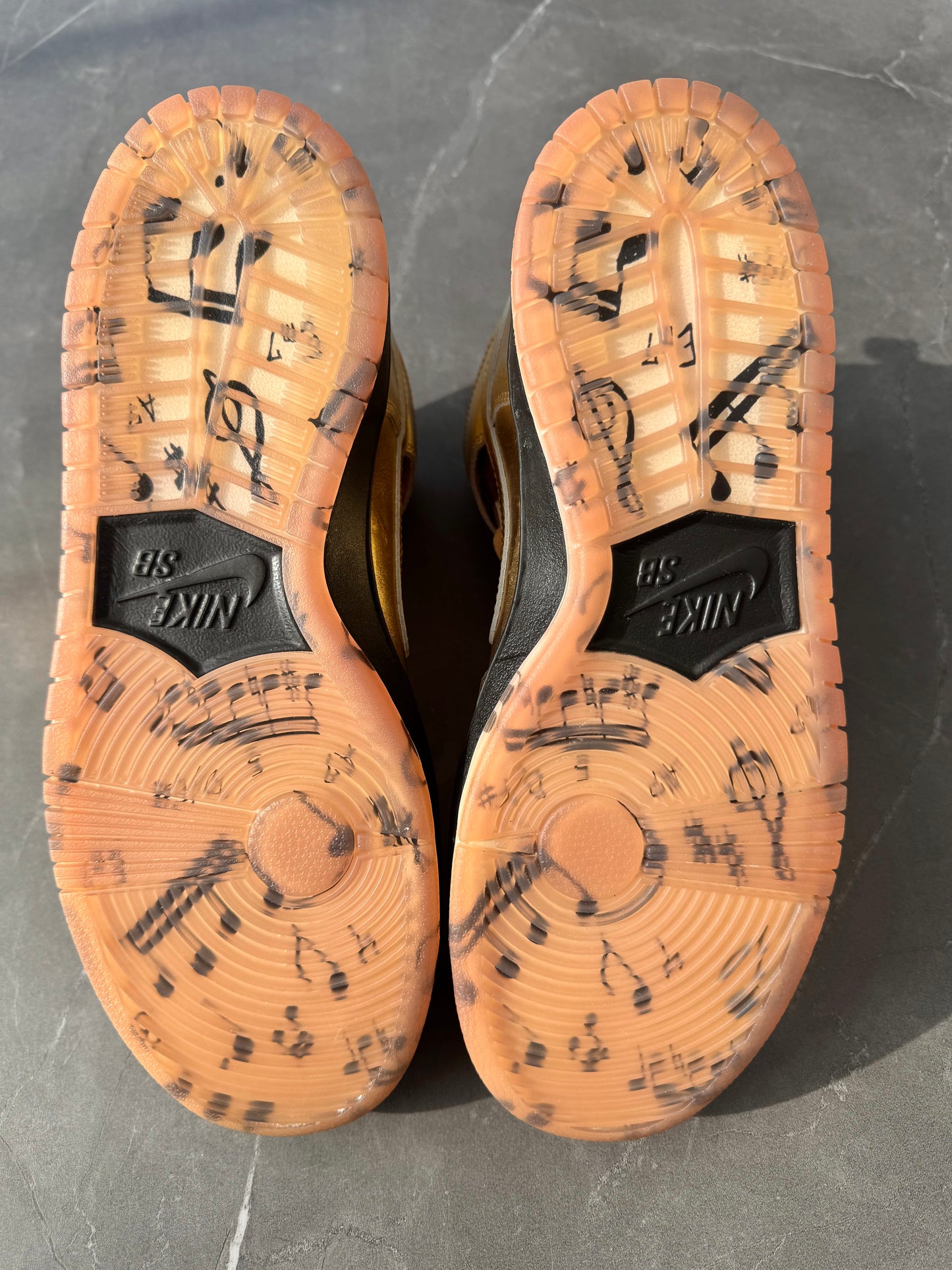 Dunk High Pro SB Humidity Special Box