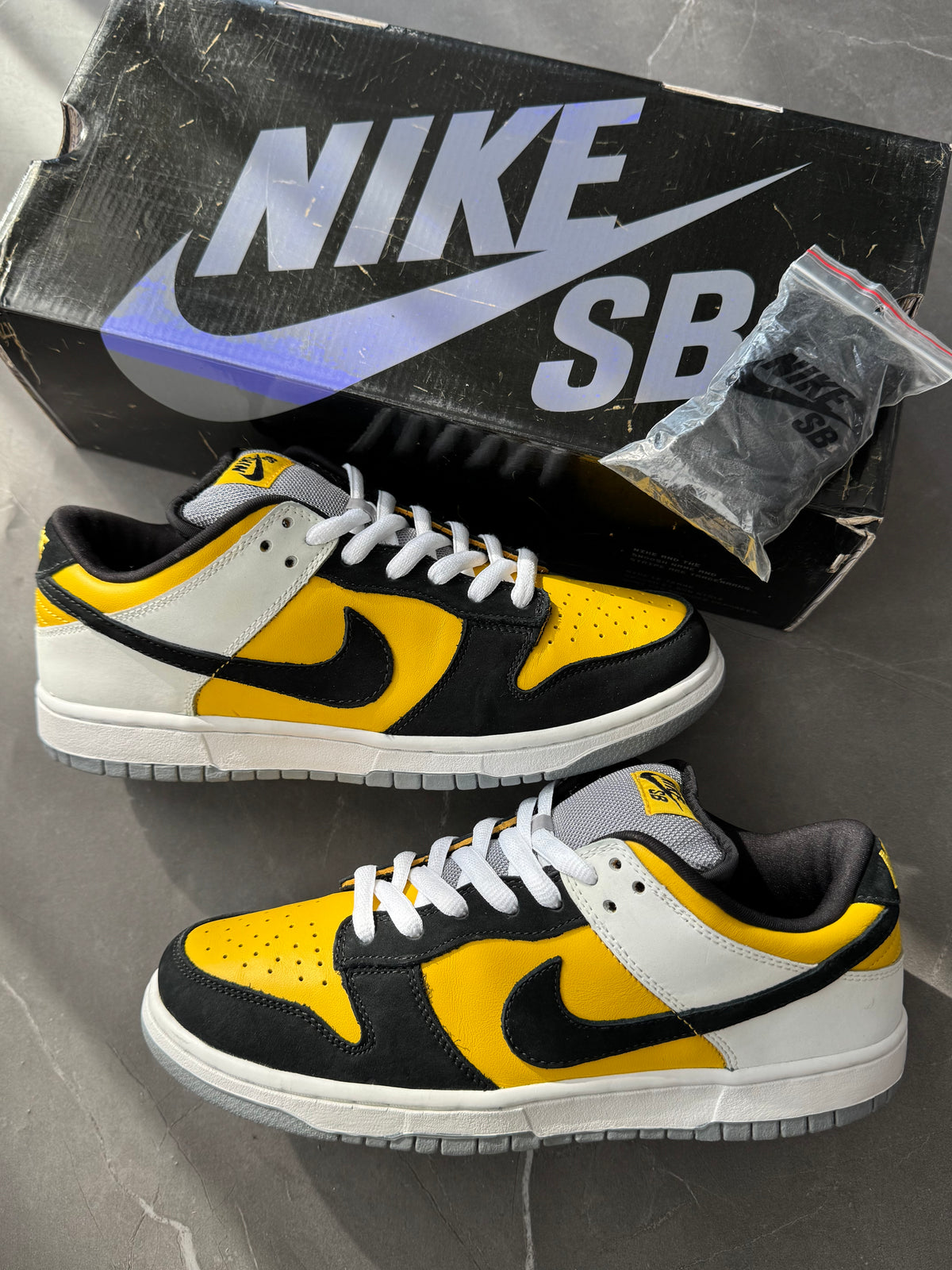 Dunk Low Pro SB Bic 2006 US9