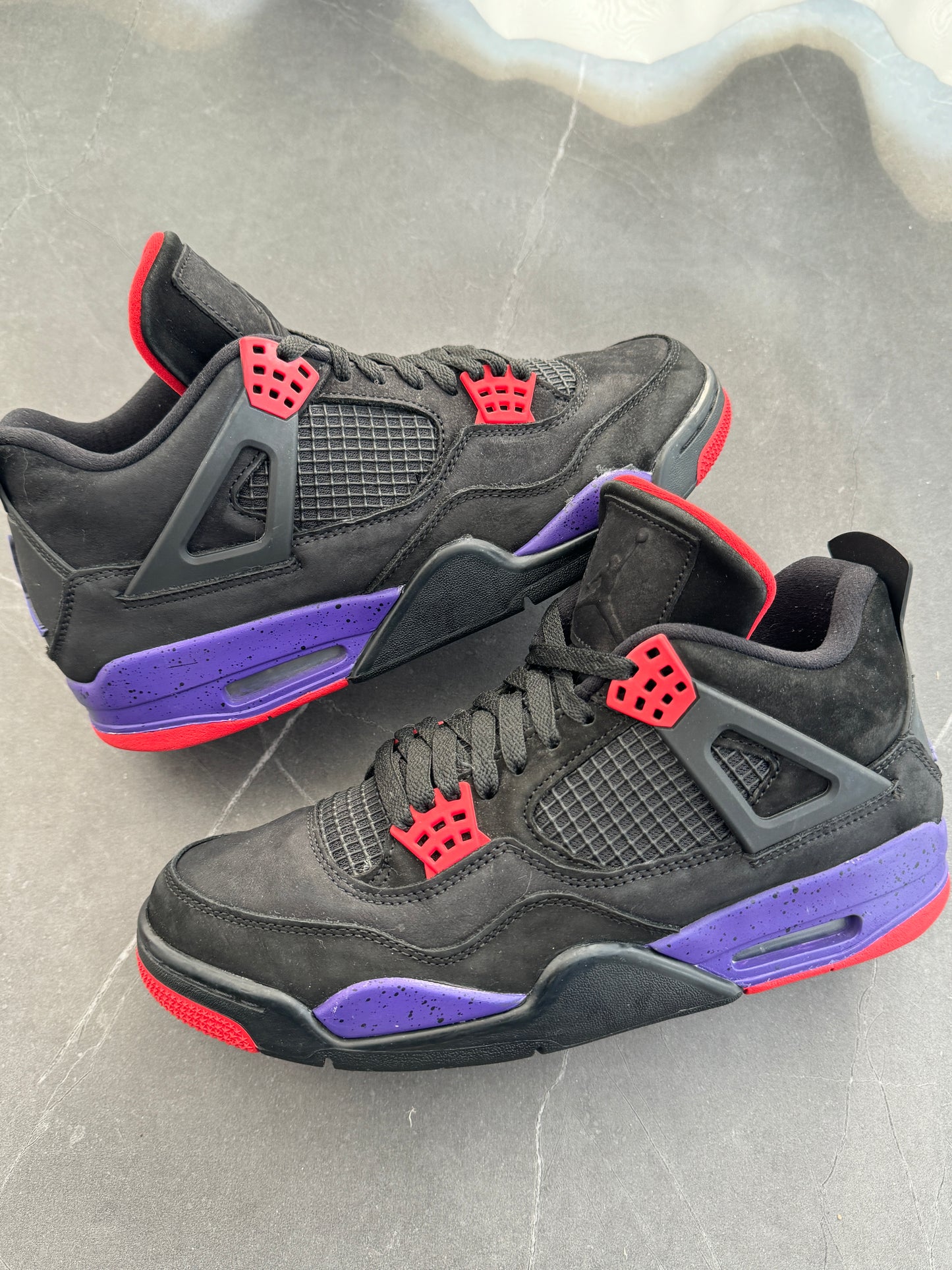 Air Jordan 4 Raptors