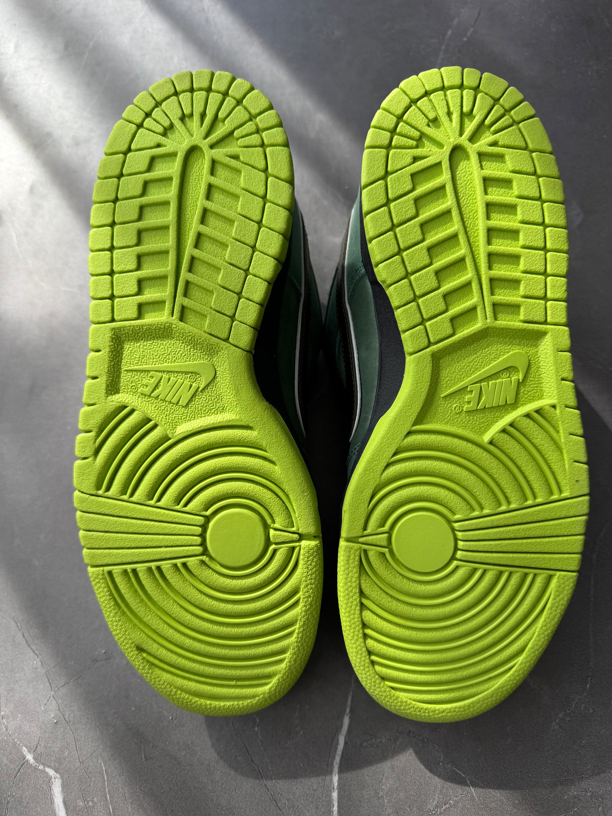 Dunk Low Pro SB Green Lobster Special Box US9