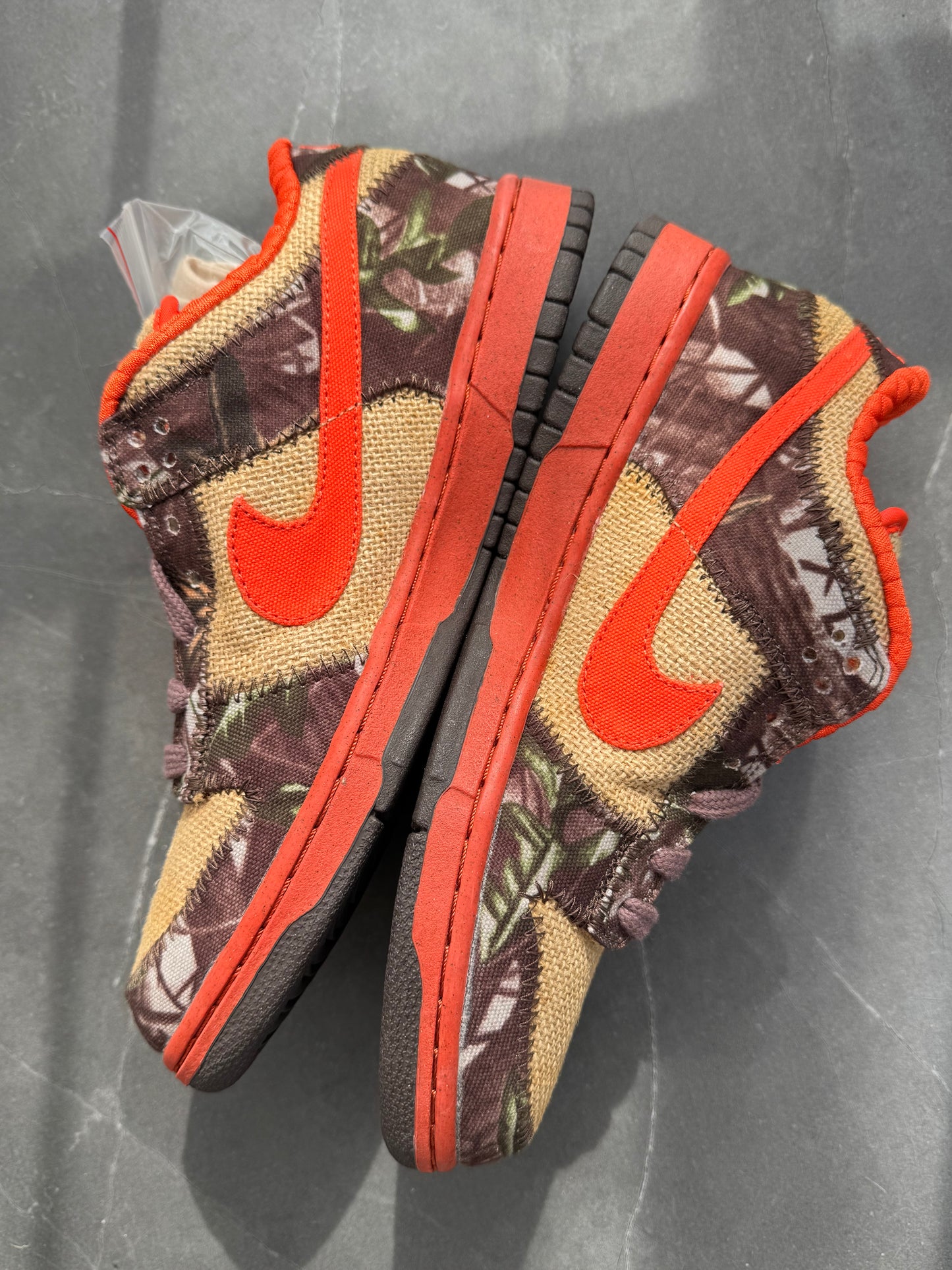 Dunk Low Pro SB Reese Forbes Hunter 2004