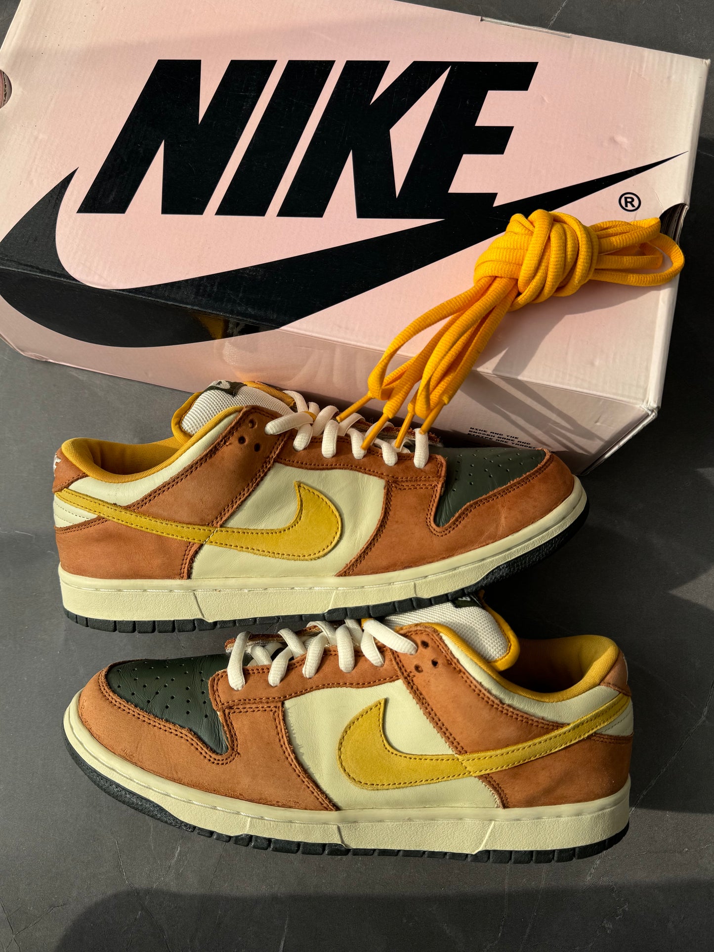 Dunk Low Pro SB Vapour 2005 US11