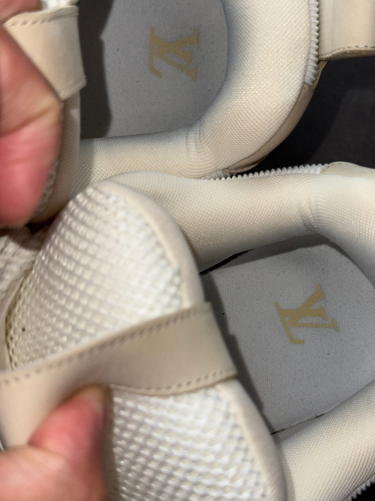 Louis Vuitton Skate Sneaker Beige White