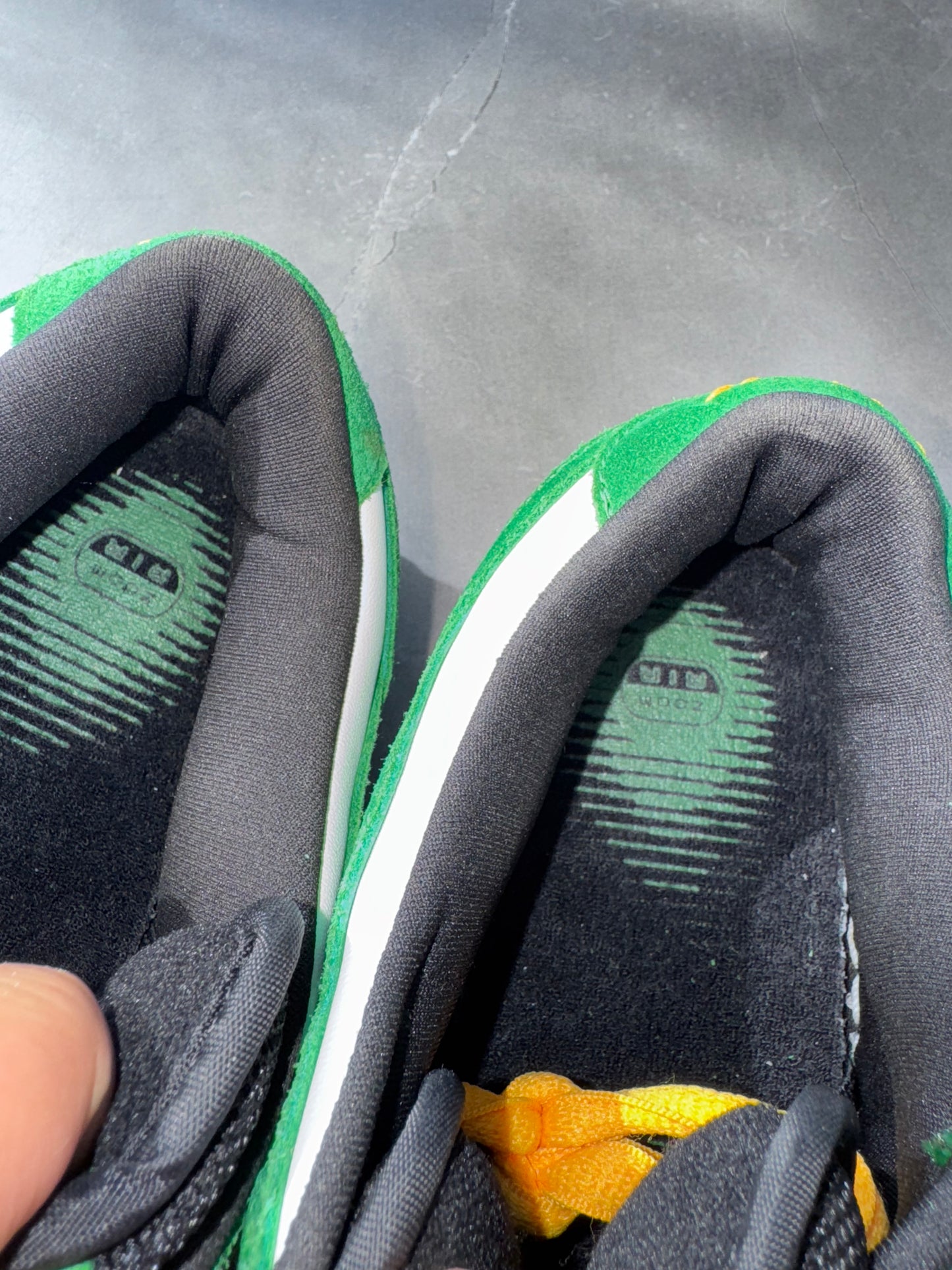 Dunk Low Pro SB Buck 2003 US10