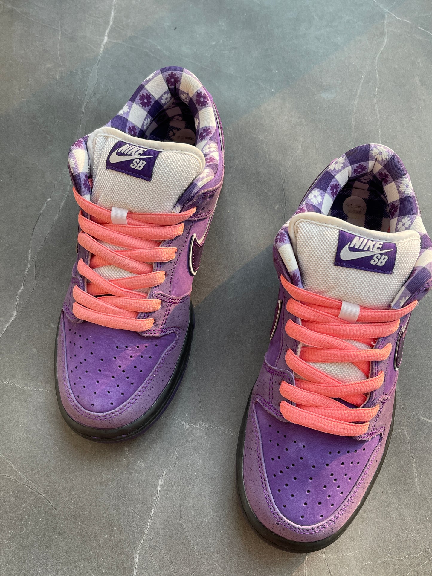 Dunk Low Pro SB Purple Lobster US5.5