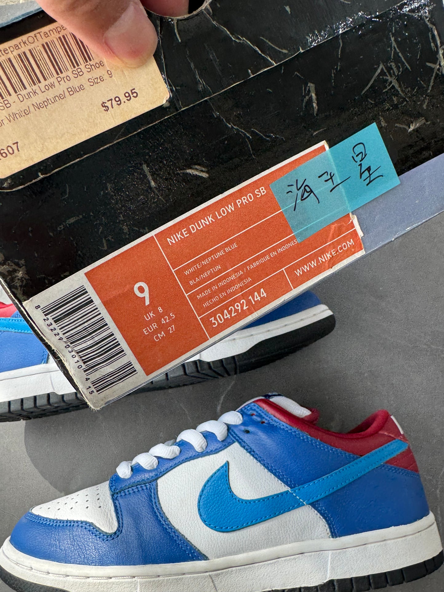 Dunk Low Pro SB Neptune 2006 US9
