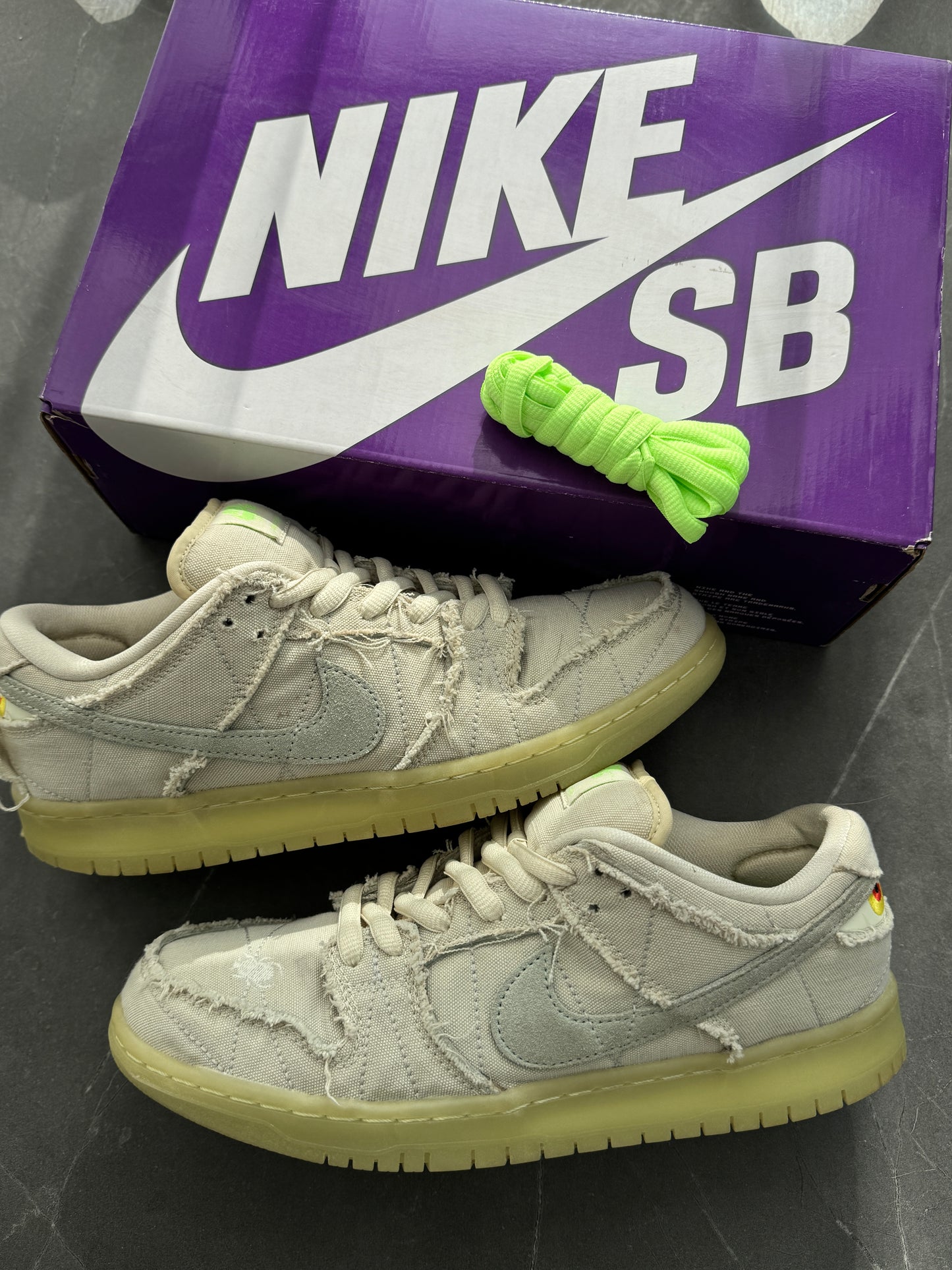 9️⃣ Dunk Low Pro SB Mummy US10