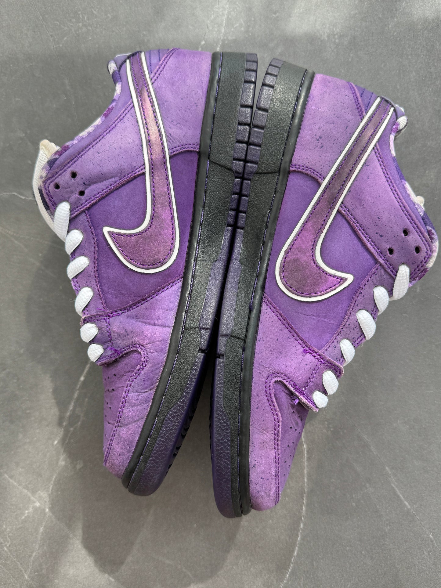 Dunk Low Pro SB Purple Lobster US9