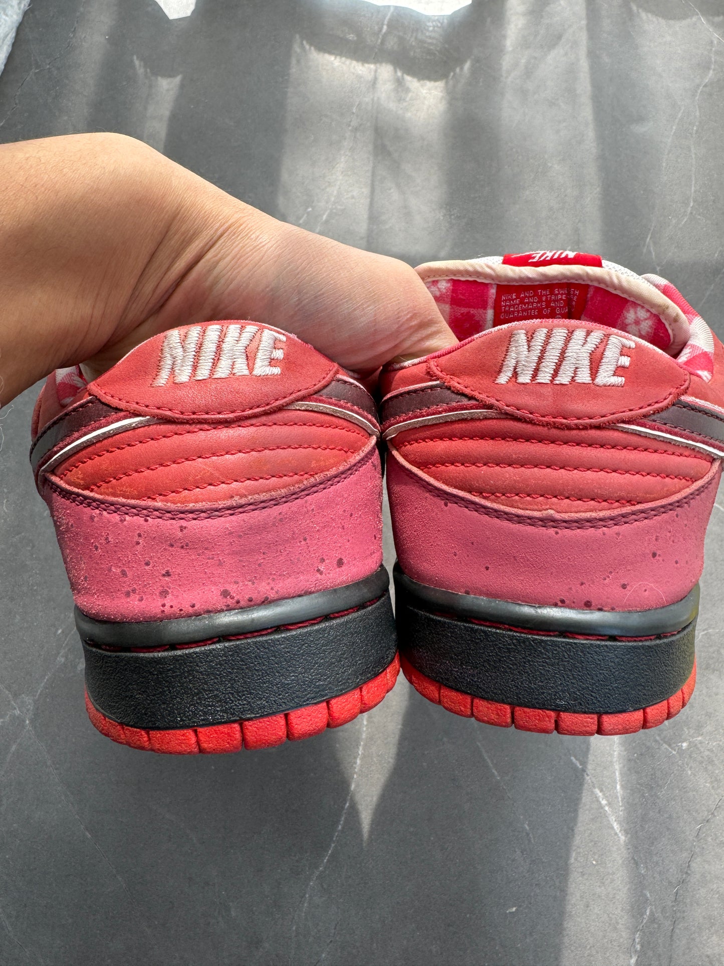 Dunk Low Premium SB Red Lobster🦞2008 US11