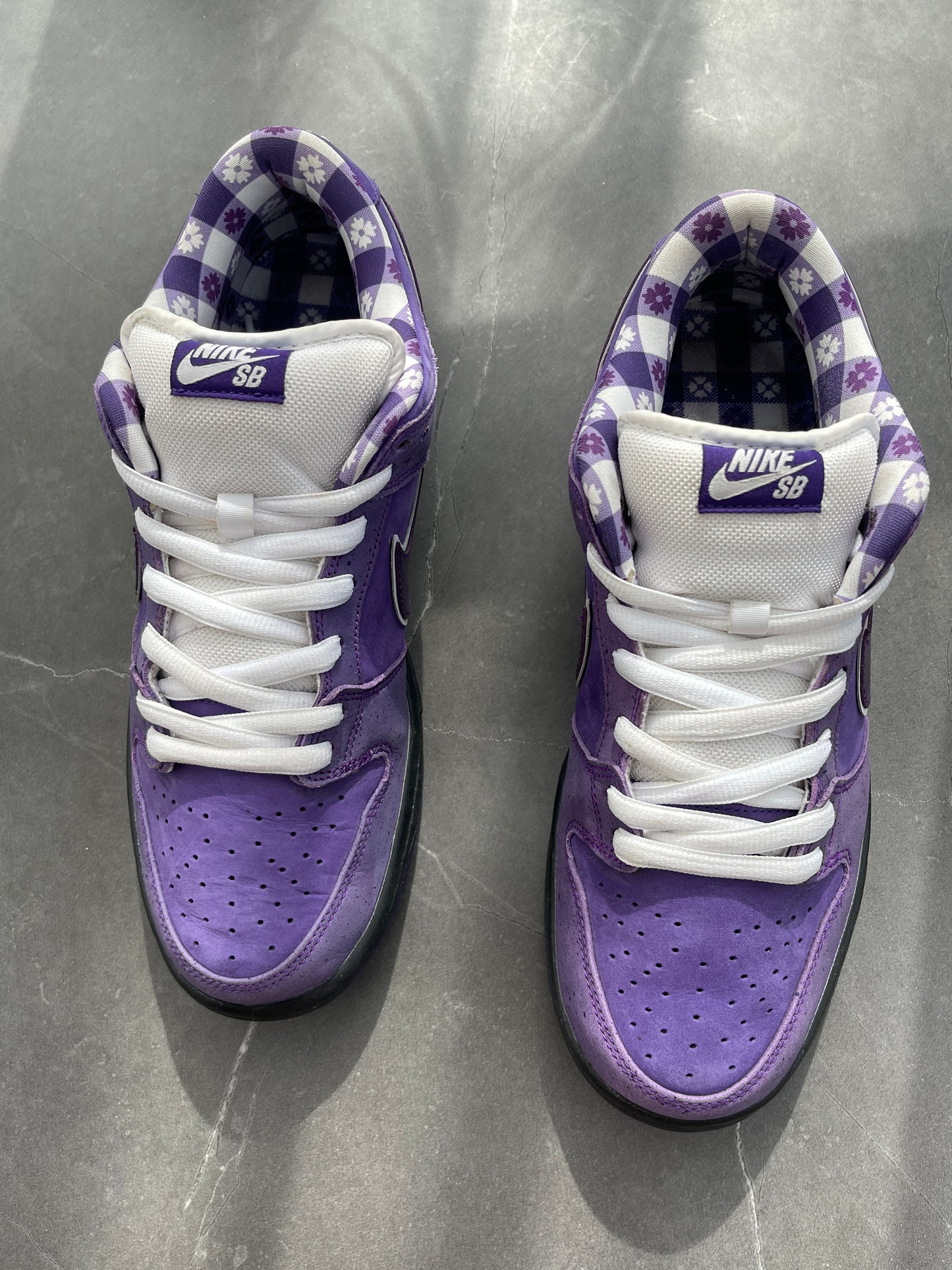 Dunk Low Pro SB Purple Lobster US10