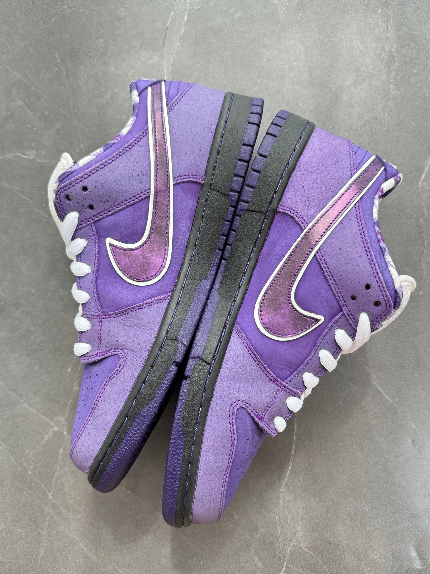 Dunk Low Pro SB Purple Lobster US11